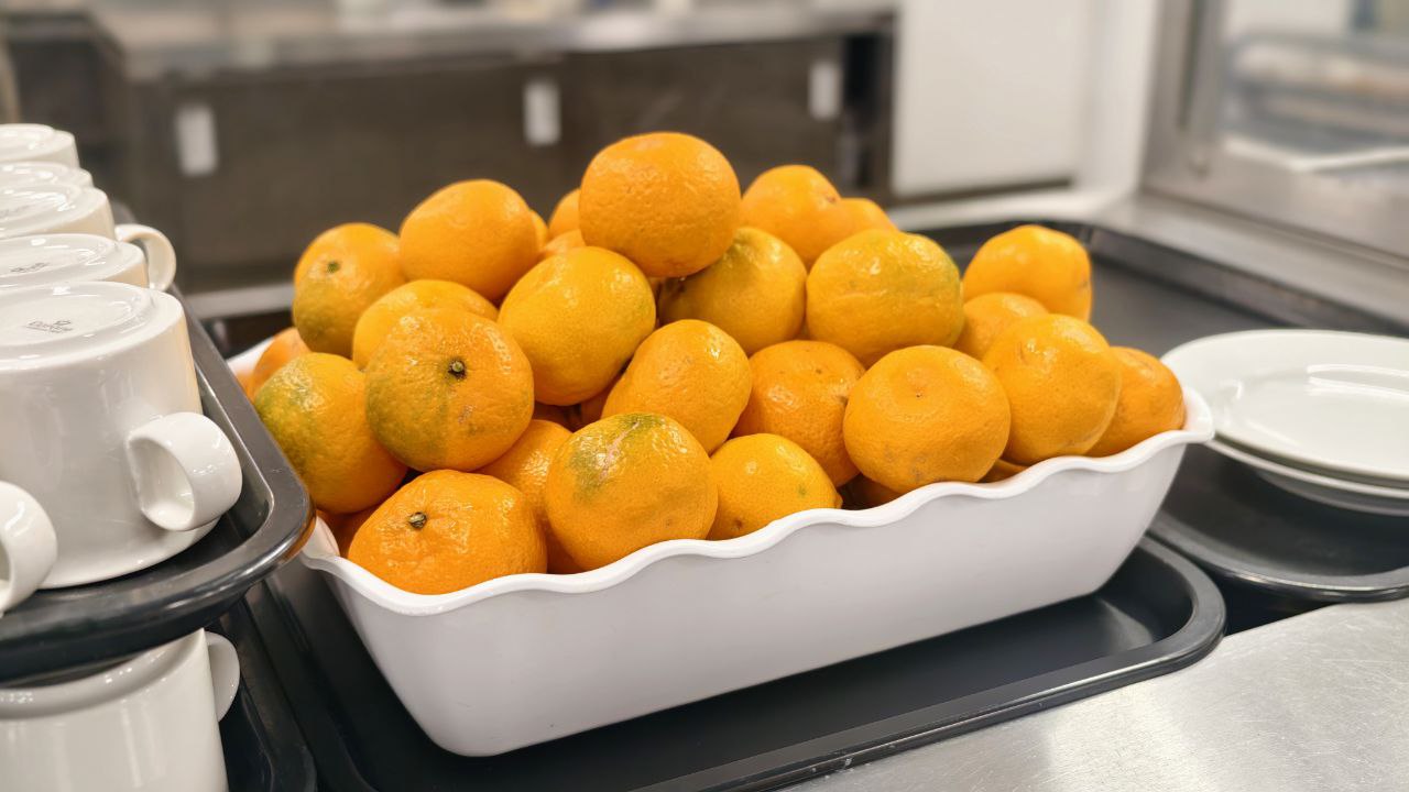 Сборы по плаванию SwimRocket в Анапе  – детская программа, Анапа. Путевки на детские программы на 2026 год, фото питания 9