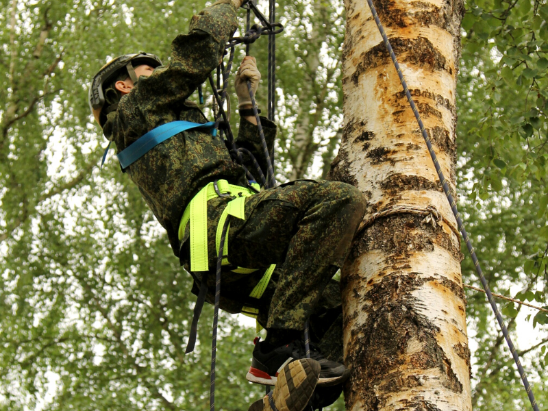 Военно-исторический лагерь Dex. ДОЛ Зарница – лагерь на море, Краснодарский край, Сочи, Лазаревский район. Путевки в детский лагерь на 2026-2027 год, фото программы 1