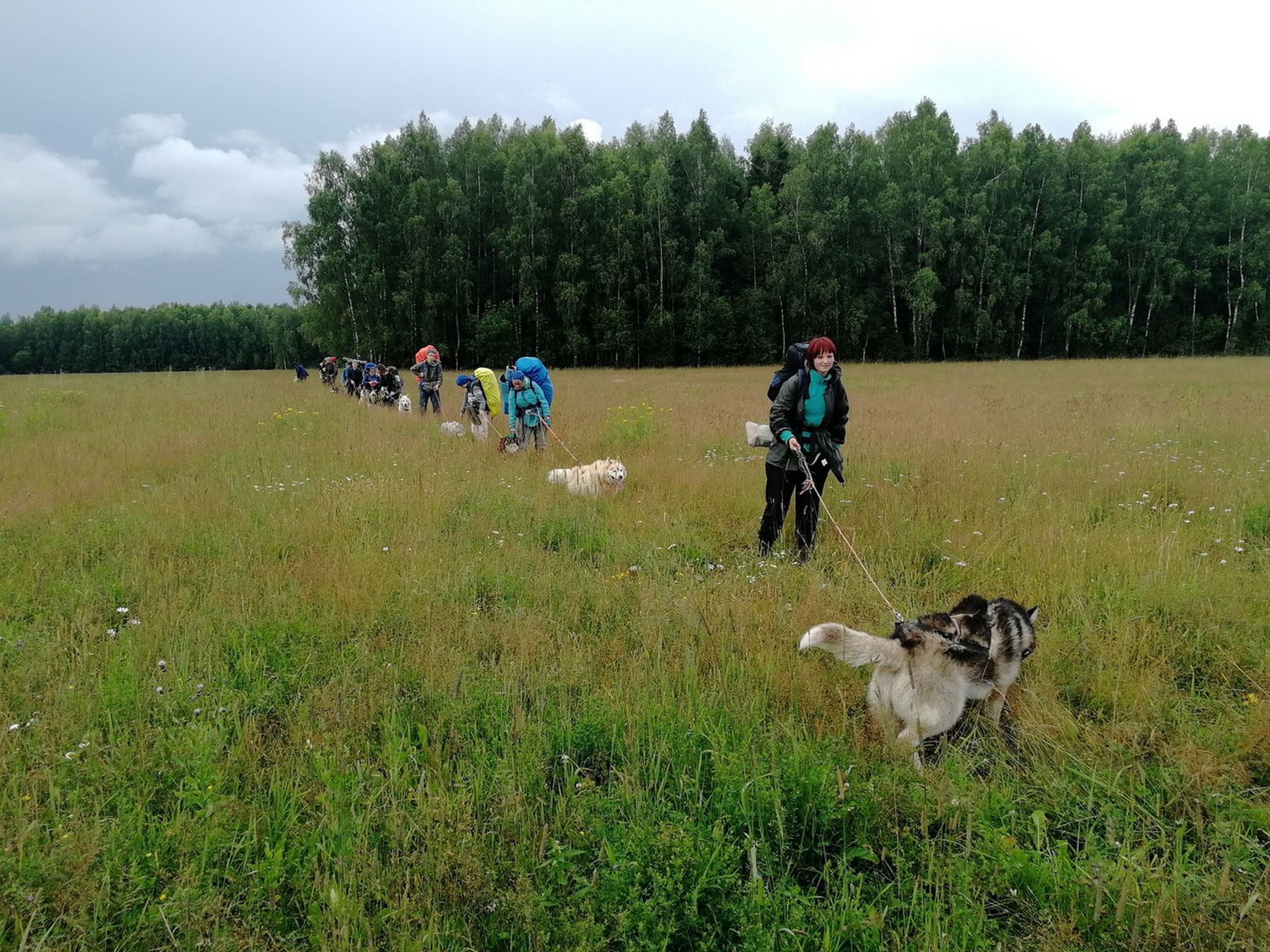 Зов Севера. Коллекция Приключений – детская программа, Костромская обл., Нейский р-н. Путевки на детские программы на 2026 год, фото программы 9