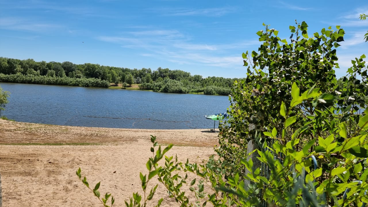 Лингвистическая программа Путешествие в Сафари – детская программа, Волгоградская обл., Среднеахтубинский р-н. Путевки на детские программы на 2026 год, фото размещения 4