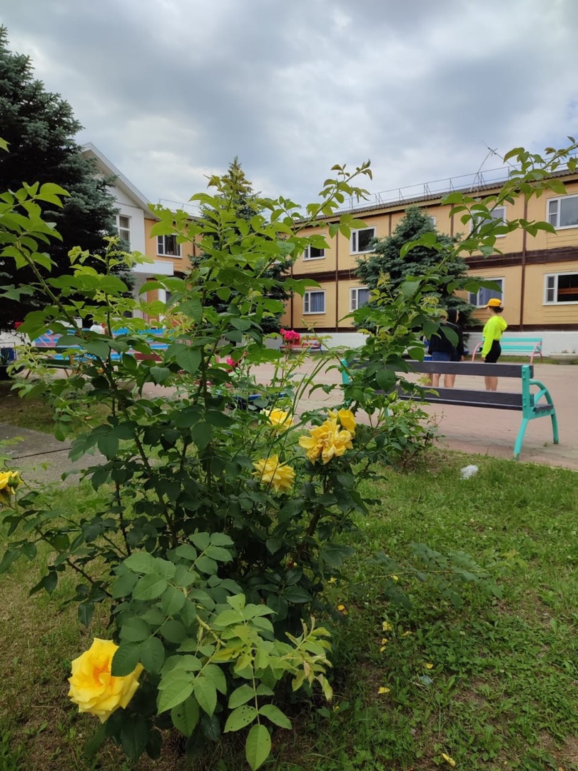Детский языковой лагерь English Camp – лагерь на море, Краснодарский край, Анапа. Путевки в детский лагерь на 2026-2027 год, фото размещения 8