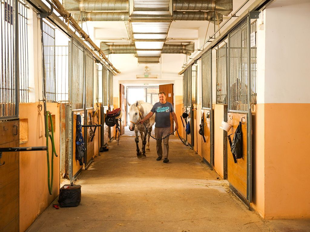 Баскетбольные сборы Stremlenie Camp. Звёздный – спортивный лагерь, Ленинградская область, г. Луга. Путевки в детский лагерь на 2026-2027 год, фото размещения 8