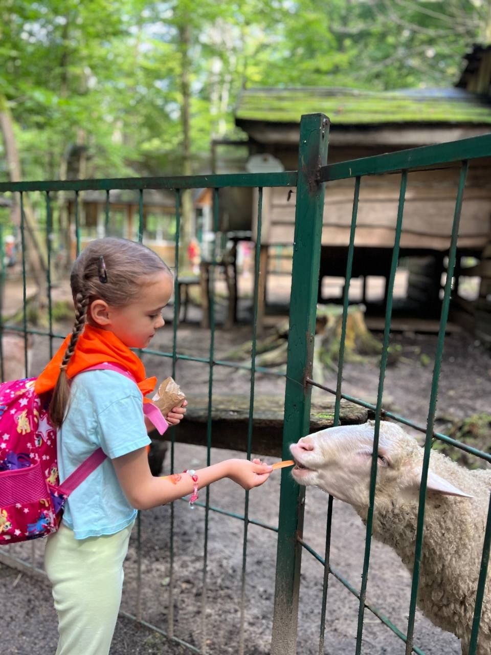 «Скаут», Калининград – 4.