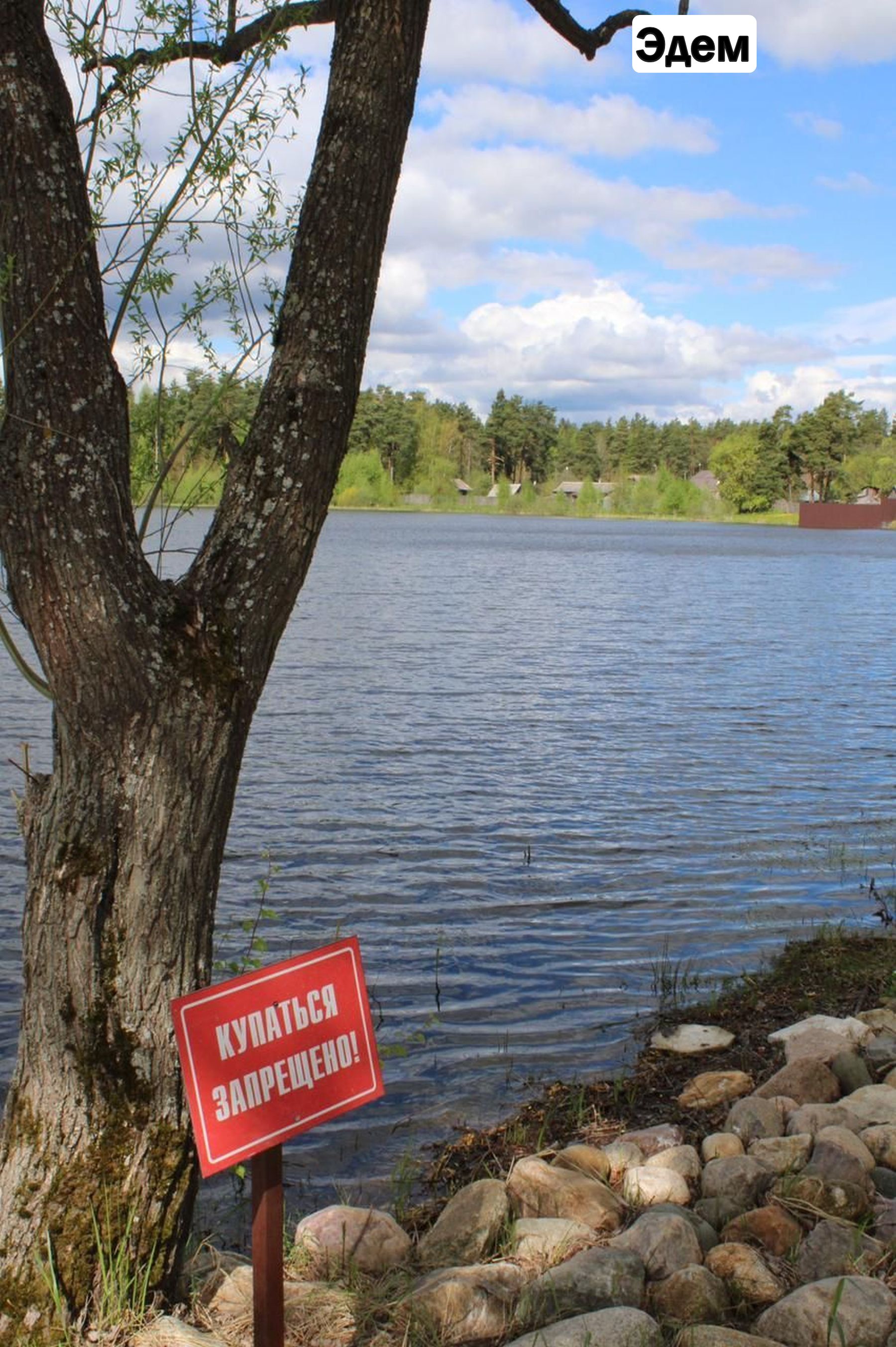 Oxford Camp. Классика. Эдем и Новая Истра – детская программа, Московская обл., 2 локации. Путевки на детские программы на 2026 год, фото размещения 7