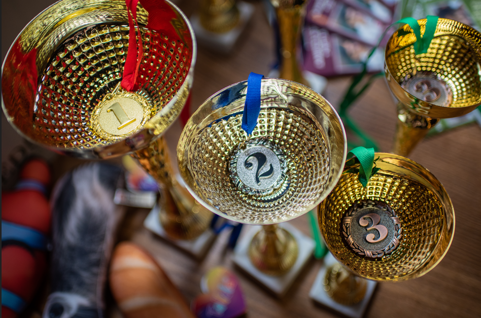 Международный шахматный фестиваль имени А.Е. Карпова – спортивный лагерь, Краснодарский край, Сукко. Путевки в детский лагерь на 2026 год, фото 13