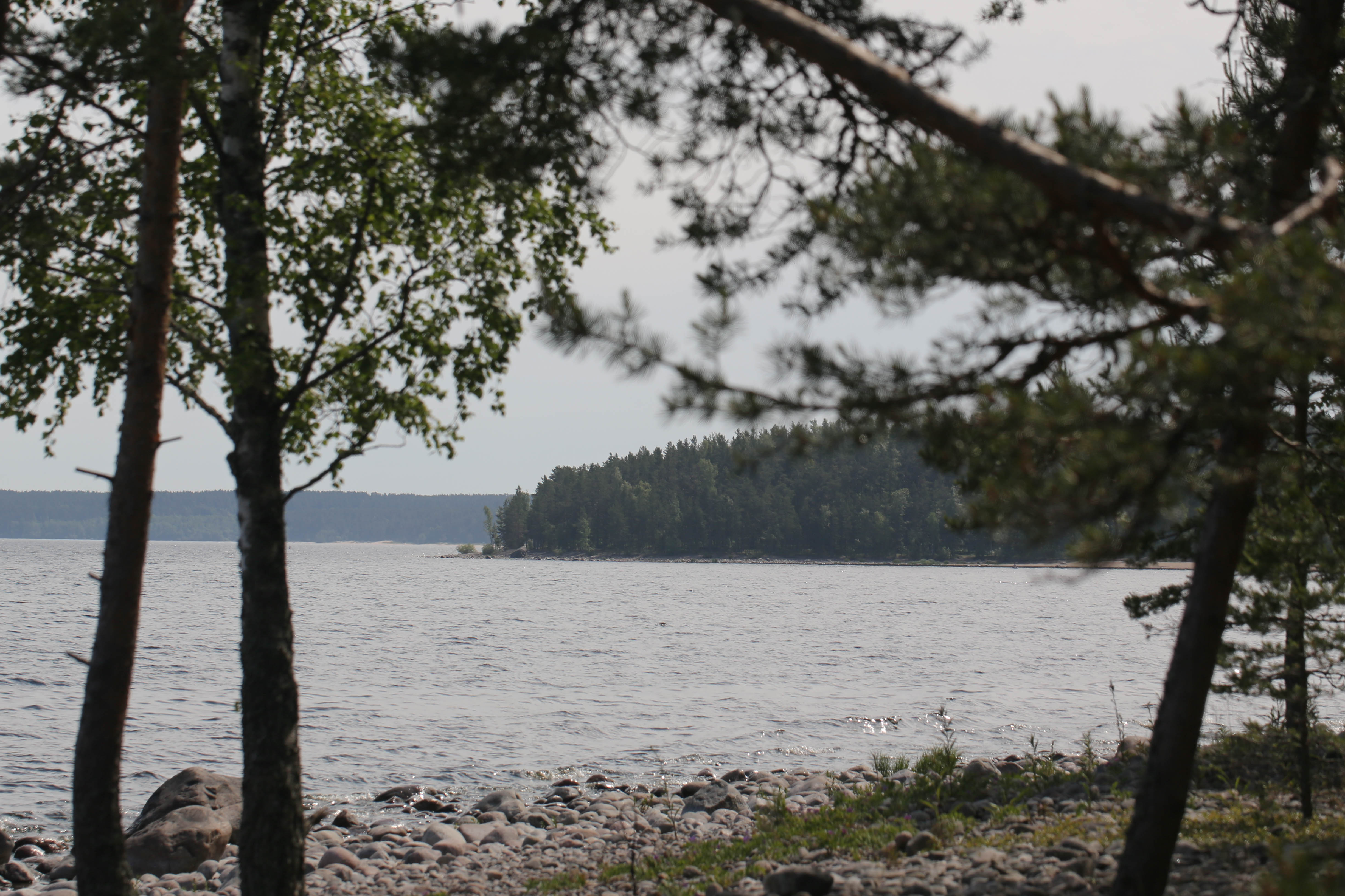 ПроКаникулы. ПроЖизнь Петроград – туристический лагерь, Ленинградская обл., Карелия, Санкт-Петербург. Путевки в детский лагерь на 2026 год, фото размещения 2