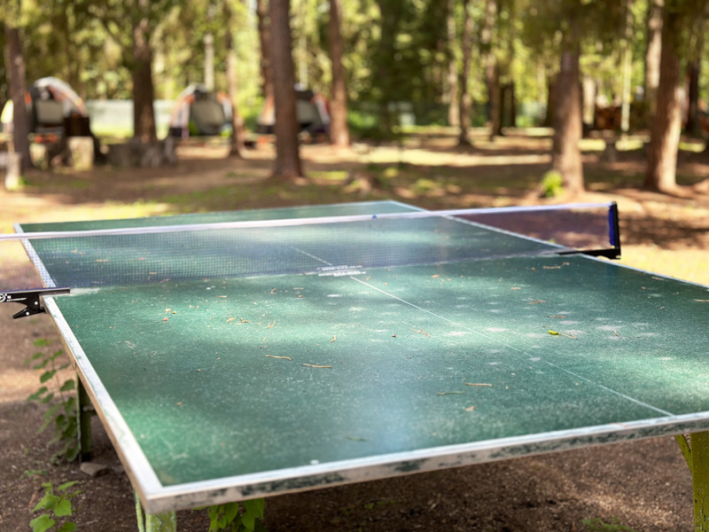 Робинзонада: Подземелья и драконы – тематический лагерь, Владимирская обл., Александров. Путевки в детский лагерь на 2026 год, фото размещения 3