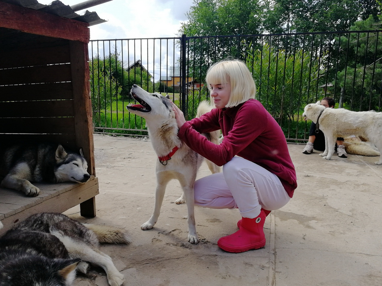 Зов Севера. Летняя стоянка. Коллекция Приключений – туристический лагерь, Костромская обл., Судиславский р-н. Путевки в детский лагерь на 2026 год, фото 8