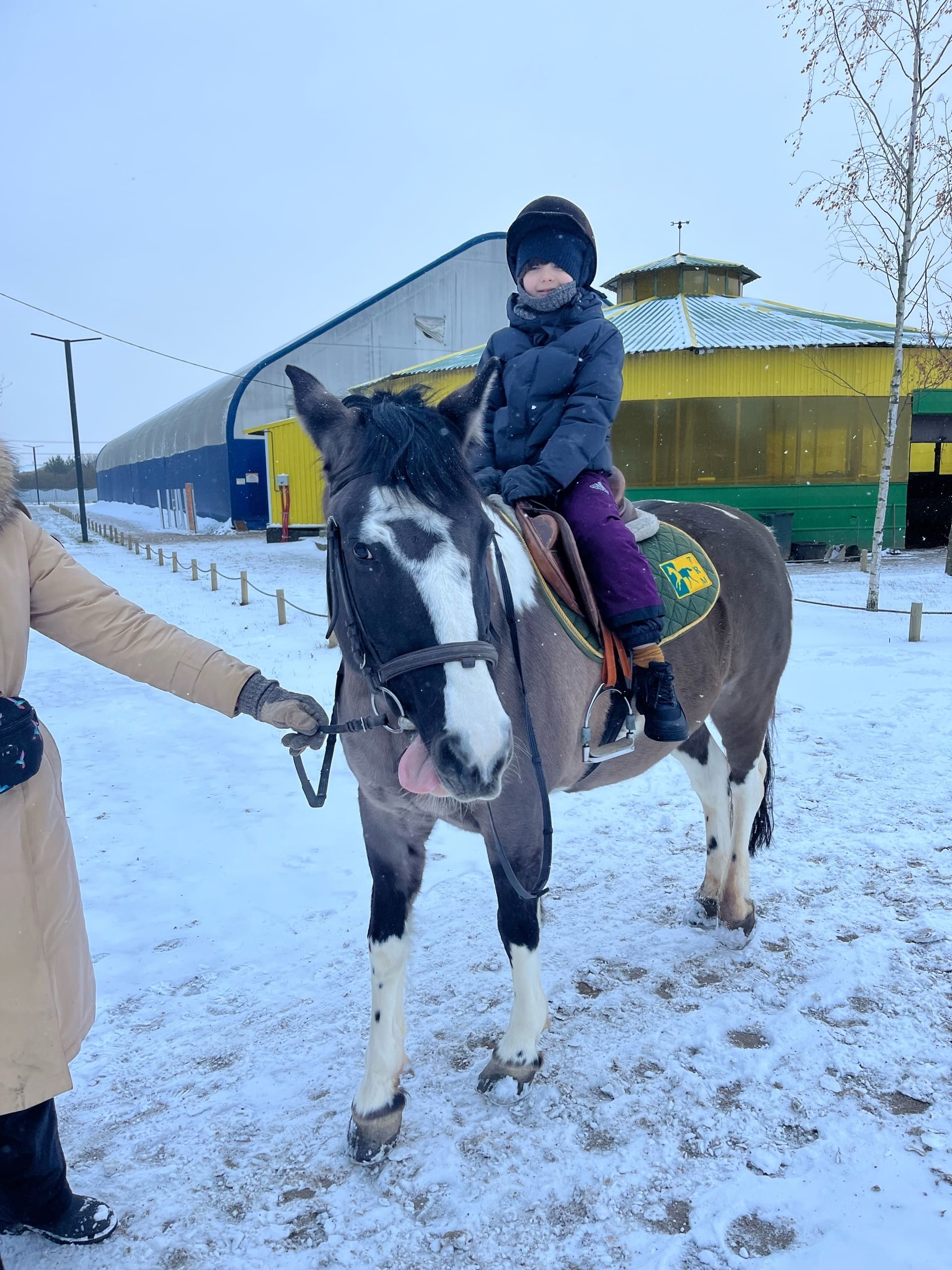 Конный лагерь Актив – спортивный лагерь, Ленинградская обл., Всеволожск. Путевки в детский лагерь на 2026 год, фото программы 12