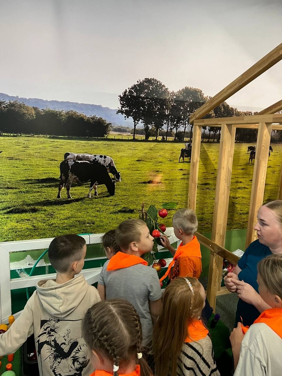 «Скаут», Калининград – 7.