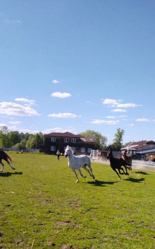 «Юный защитник», Московская обл., Ногинский р-н – 7.