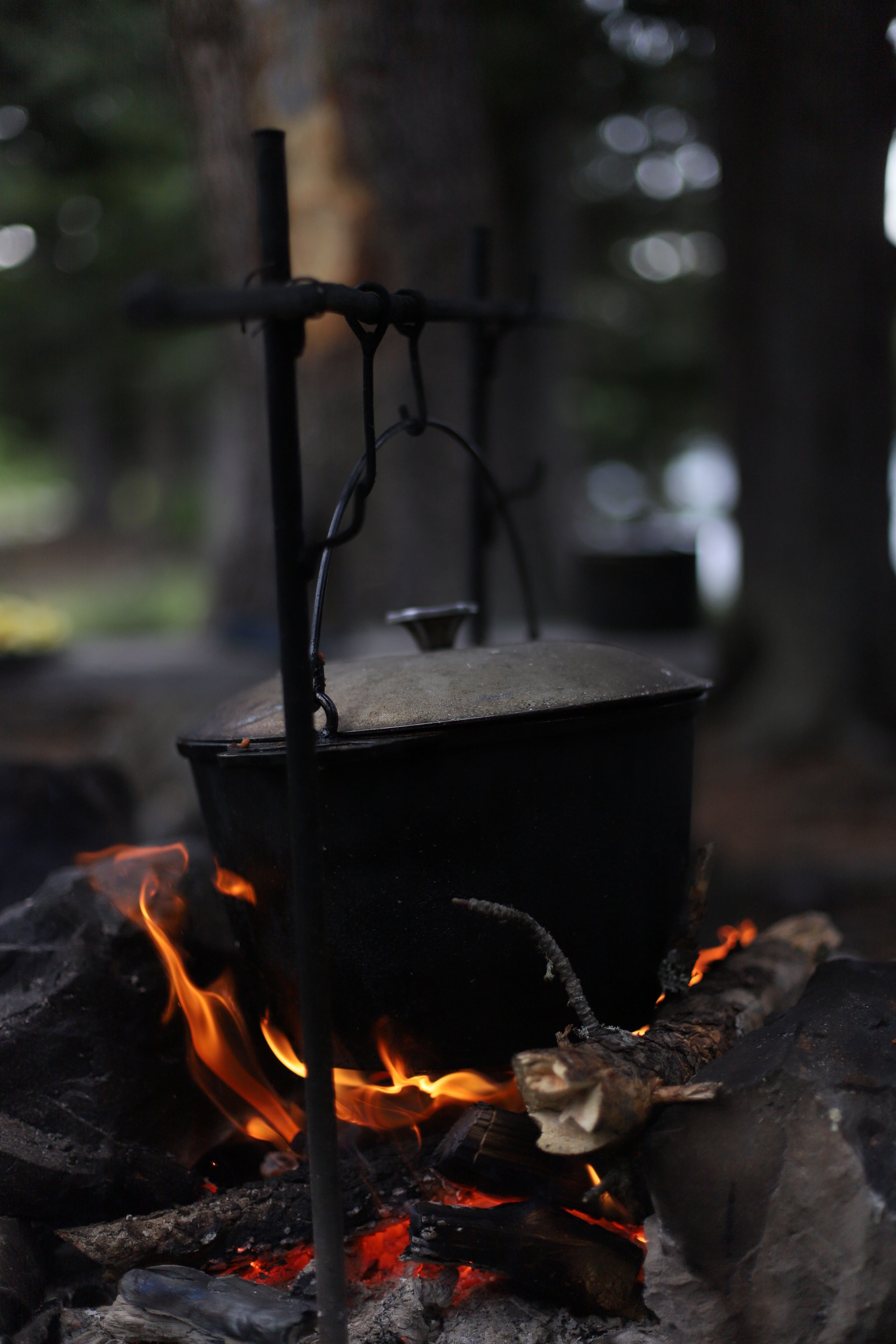 Altai Spirits. Туристическая программа – туристический лагерь, Республика Алтай, Усть-Коксинский р-н. Путевки в детский лагерь на 2026 год, фото 8