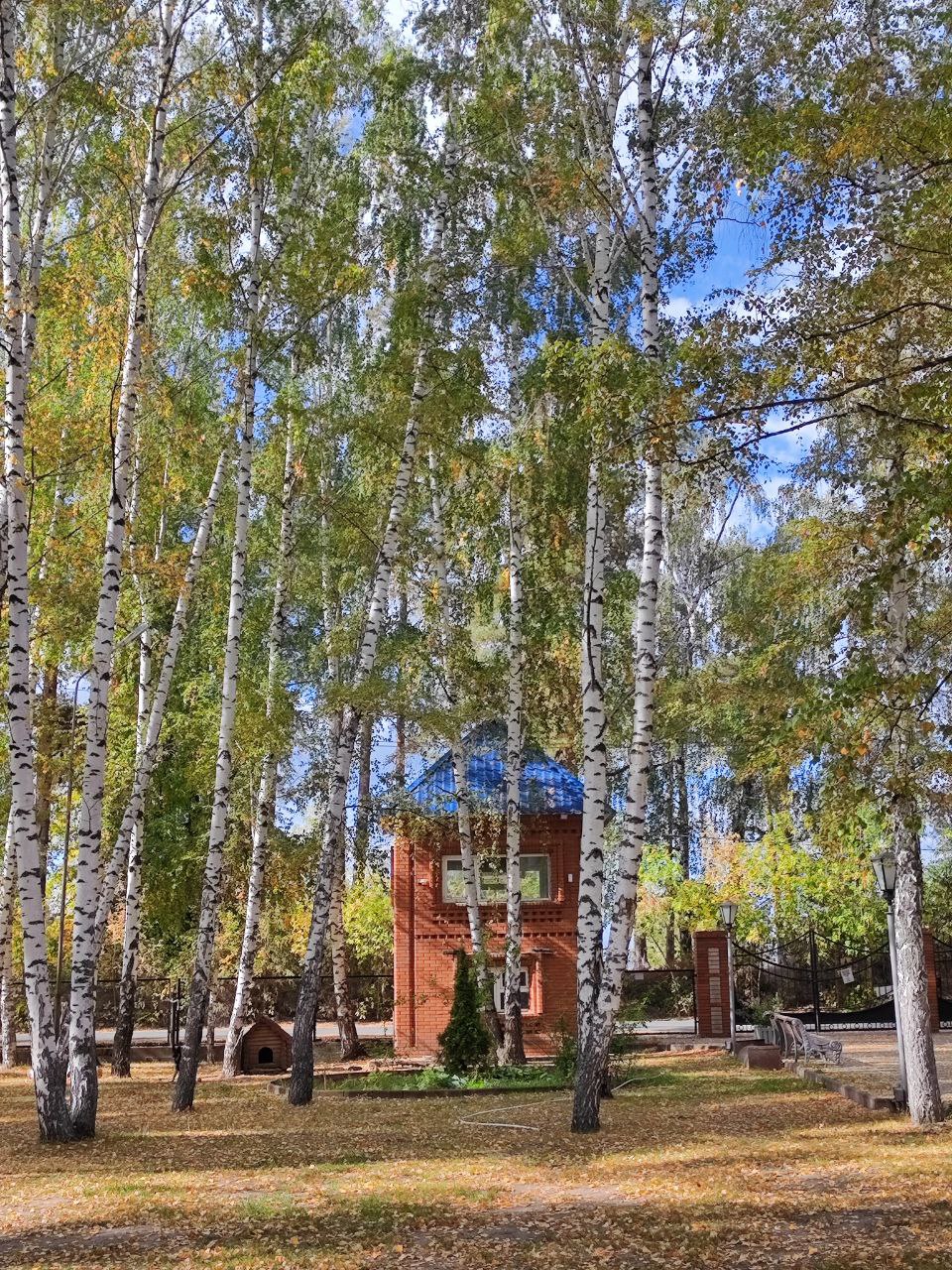 Рок-н-ролл каникулы. Лагерь Зеленые каникулы – творческий лагерь, Республика Татарстан, д. Матюшино. Путевки в детский лагерь на 2026 год, фото размещения 7