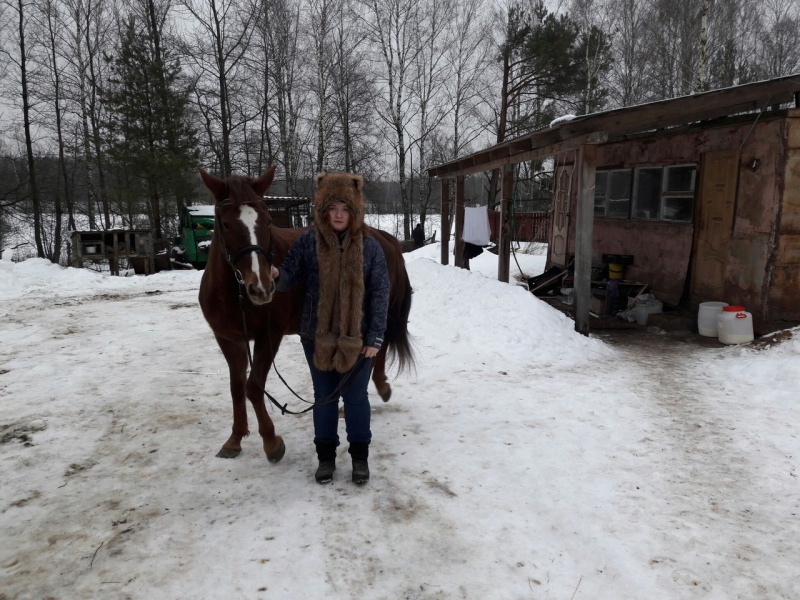 «Horse Paradise. Зимний» – спортивный лагерь, Владимирская обл., Петушинский район. Путевки в детский лагерь на 2023 год, фото 7