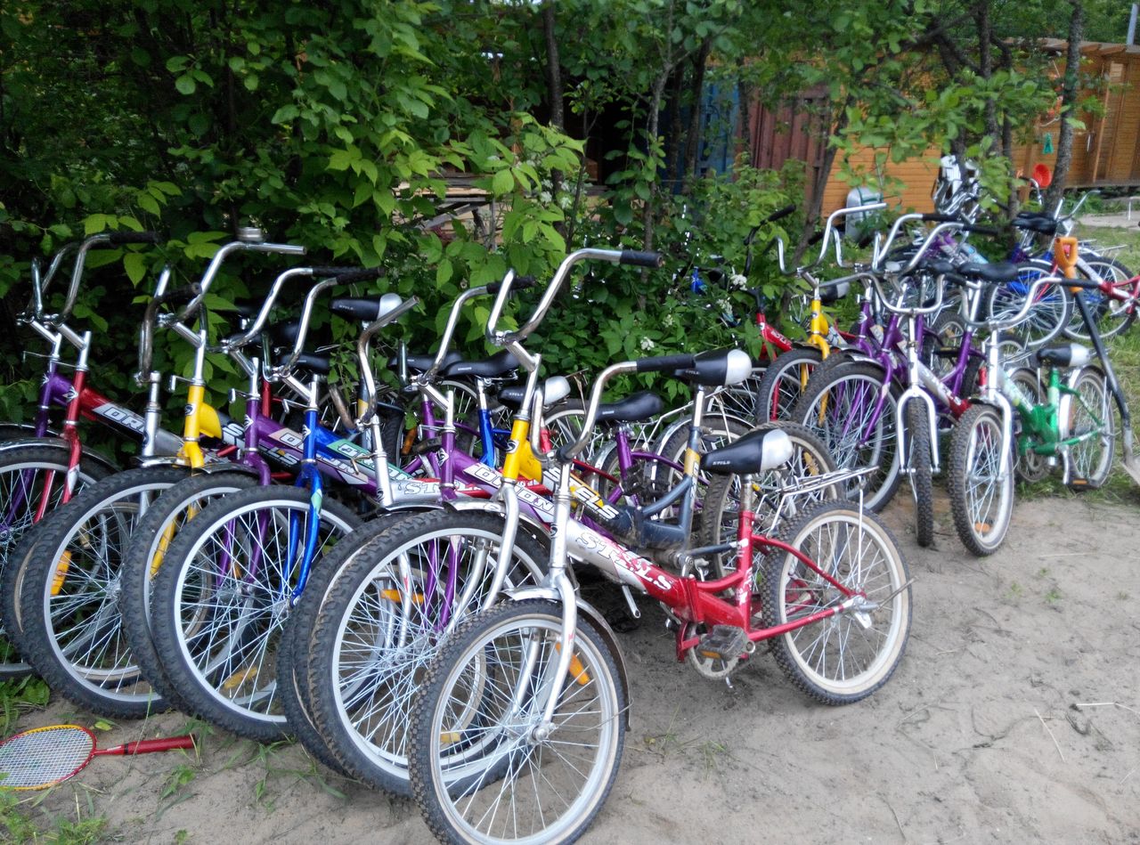 Программа На Волгу к лошадкам! – семейный лагерь, Тверская обл., Кимрский р-н. Путевки в детский лагерь на 2026 год, фото размещения 14