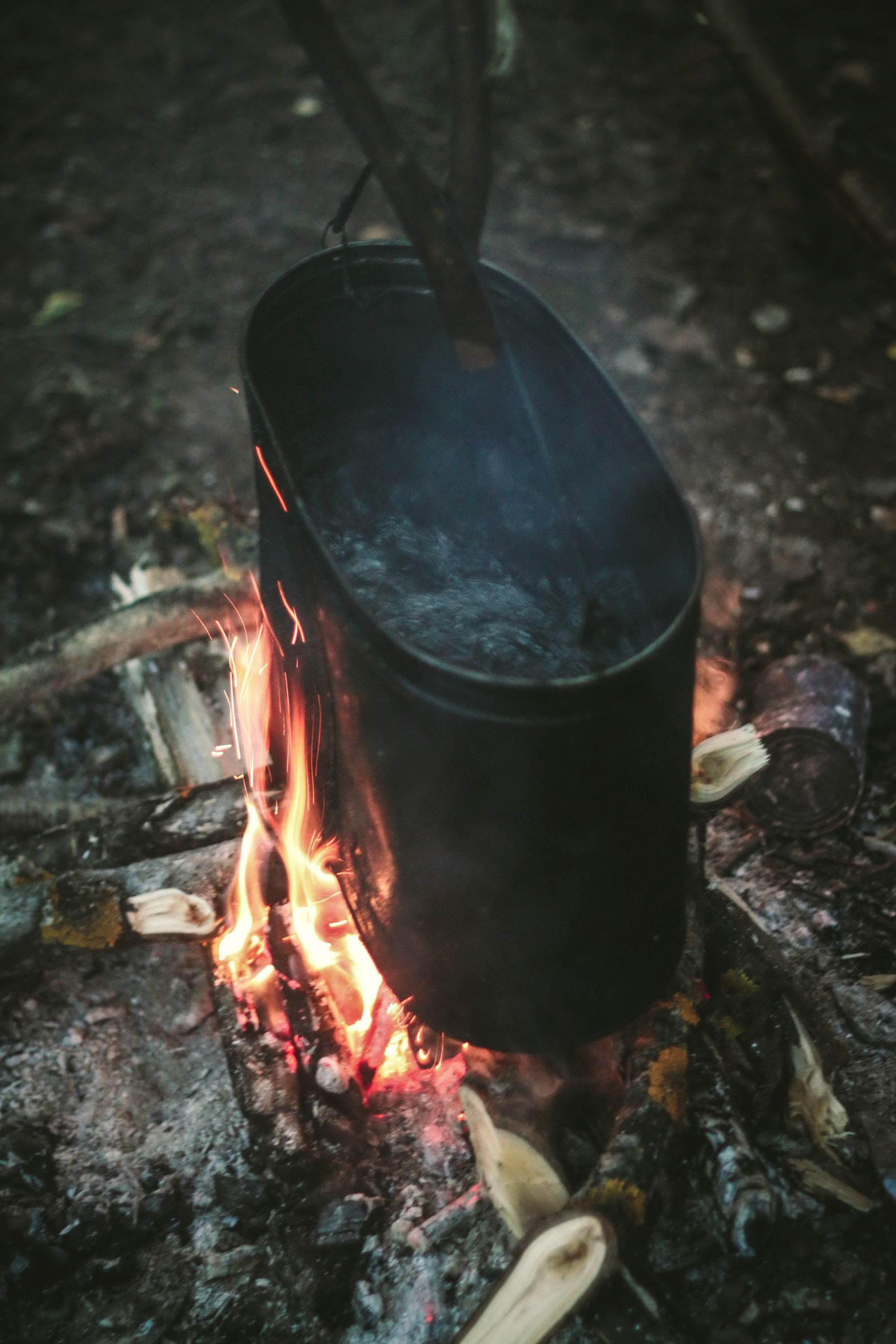 Вершины мира. Коллекция Приключений – детская программа, Краснодарский край, Геленджик. Путевки на детские программы на 2026 год, фото питания 1