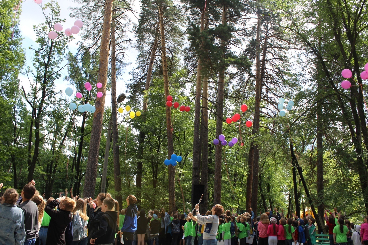 «Сосенка» – оздоровительный лагерь, Ульяновская обл.. Путевки в детский лагерь на 2023 год, фото 6