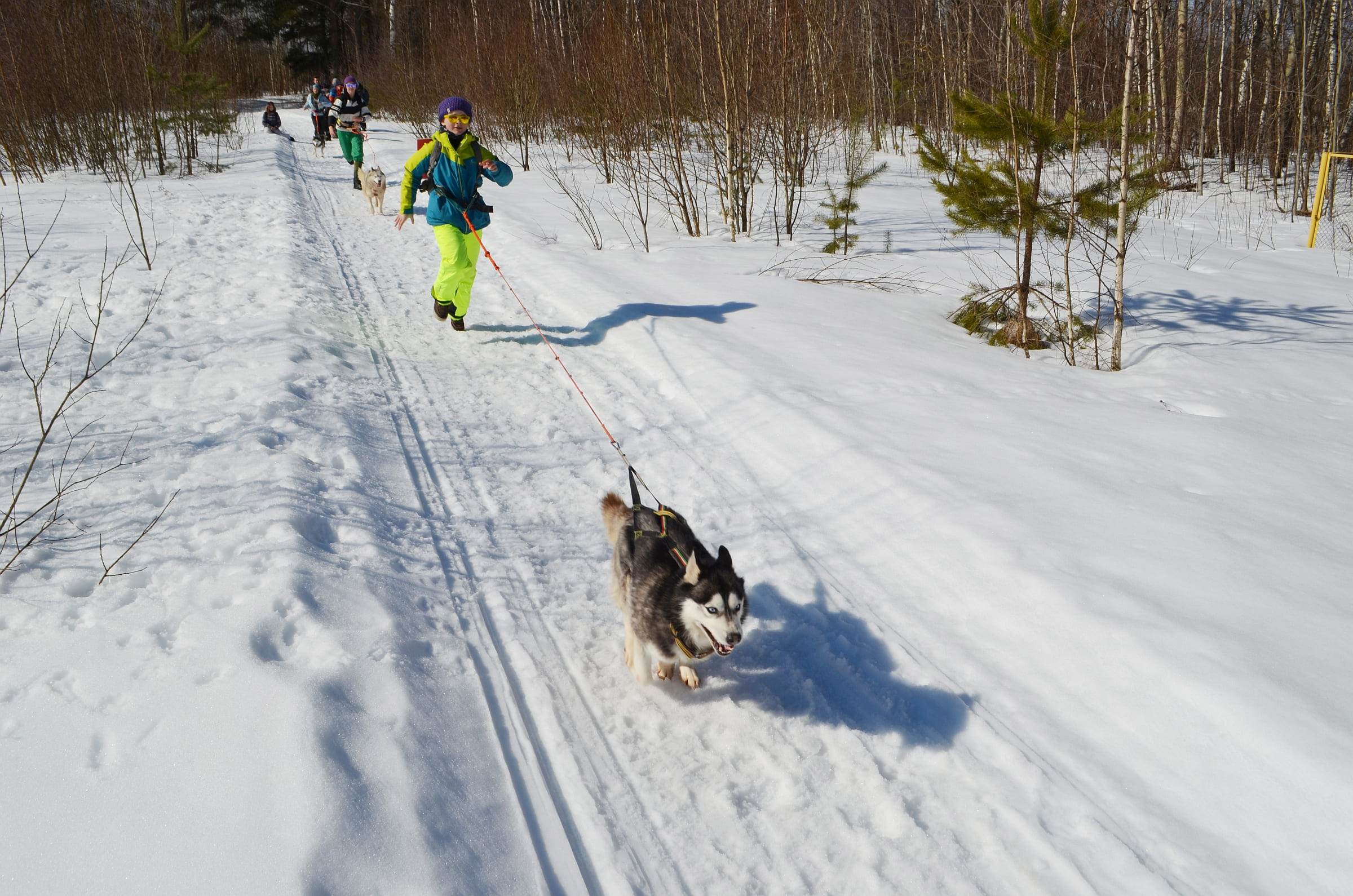 Зов Севера. Коллекция Приключений – туристический лагерь, Костромская обл., Нейский р-н. Путевки в детский лагерь на 2026 год, фото программы 2