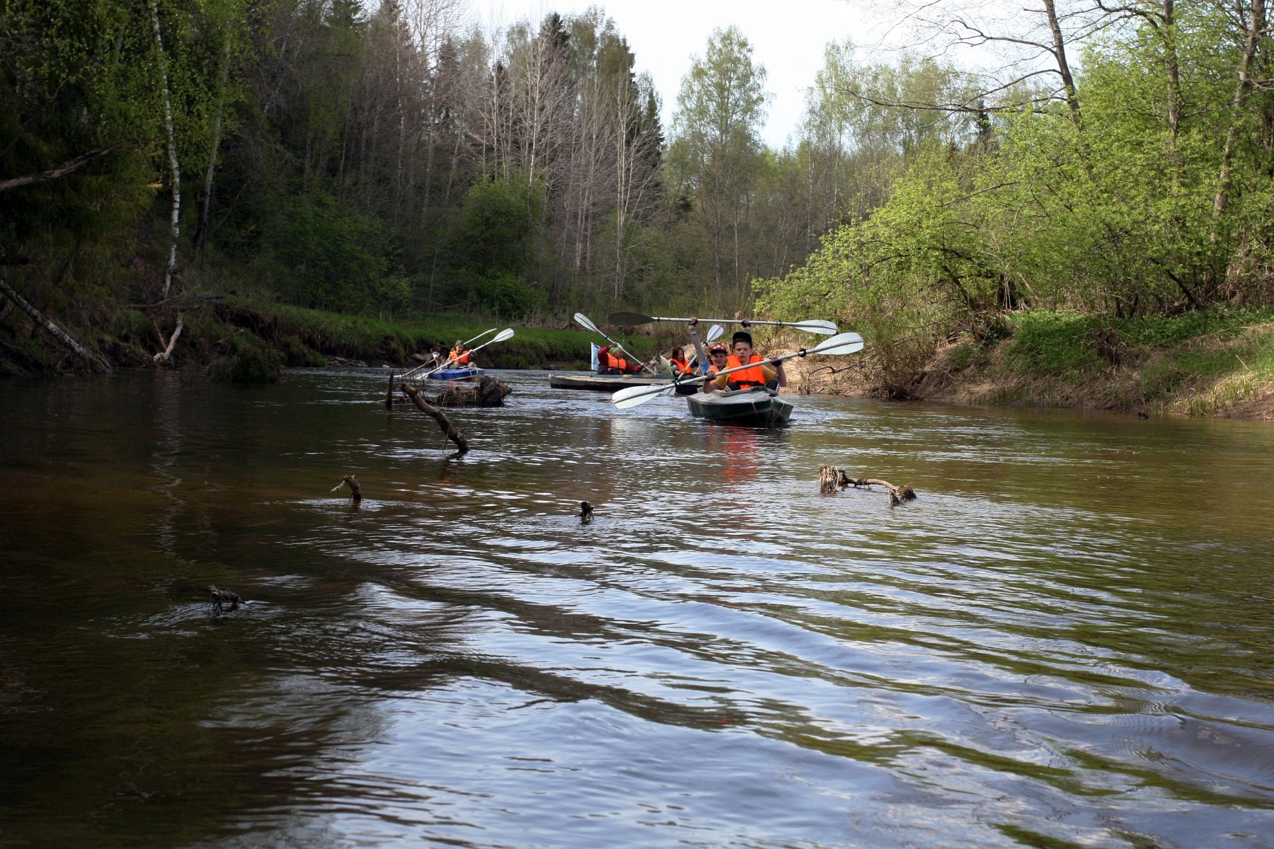 Зов Севера. Верное сердце. Коллекция приключений – детская программа, Костромская обл., Литвиново. Путевки на детские программы на 2026 год, фото 8