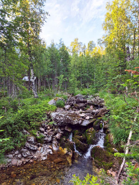 Робинзонада. Поход по Тулымскому кольцу – туристический лагерь, Пермский край. Путевки в детский лагерь на 2026 год, фото 12