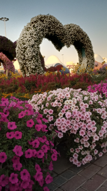 Языковой тур BC Dubai Camp – языковой лагерь, ОАЭ, Дубай. Путевки в детский лагерь на 2026 год, фото программы 3