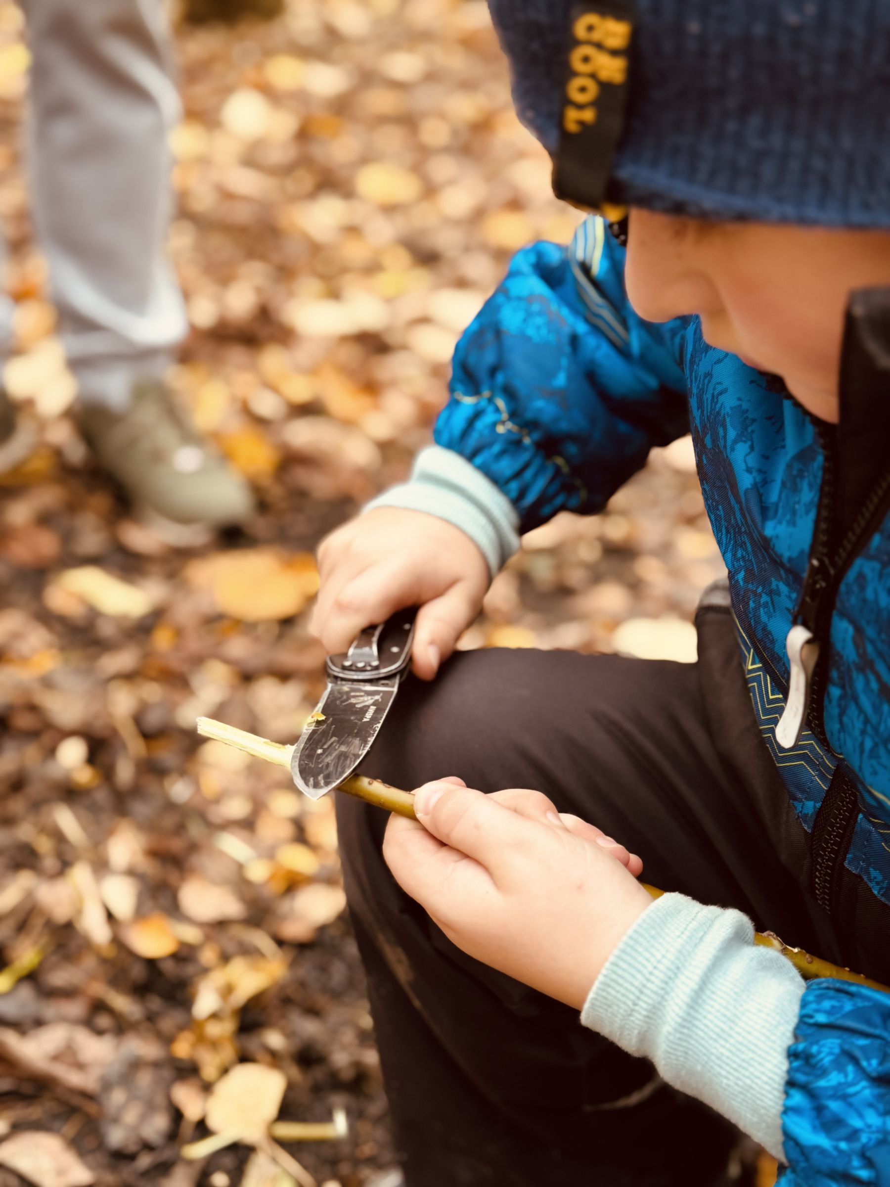 ПроКаникулы. ПроЖизнь. Беларусь  – туристический лагерь, Беларусь, Брест. Путевки в детский лагерь на 2026 год, фото программы 1