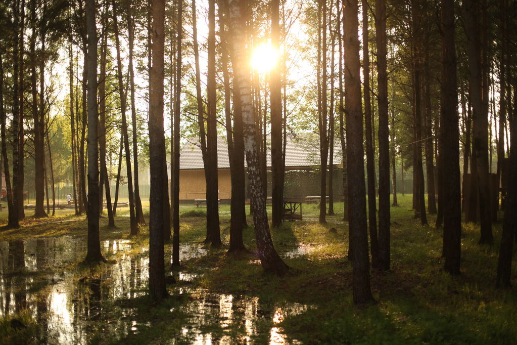 Terra Nostra Wild – творческий лагерь, Московская область, Шатура. Путевки в детский лагерь на 2024 год, фото размещения 3