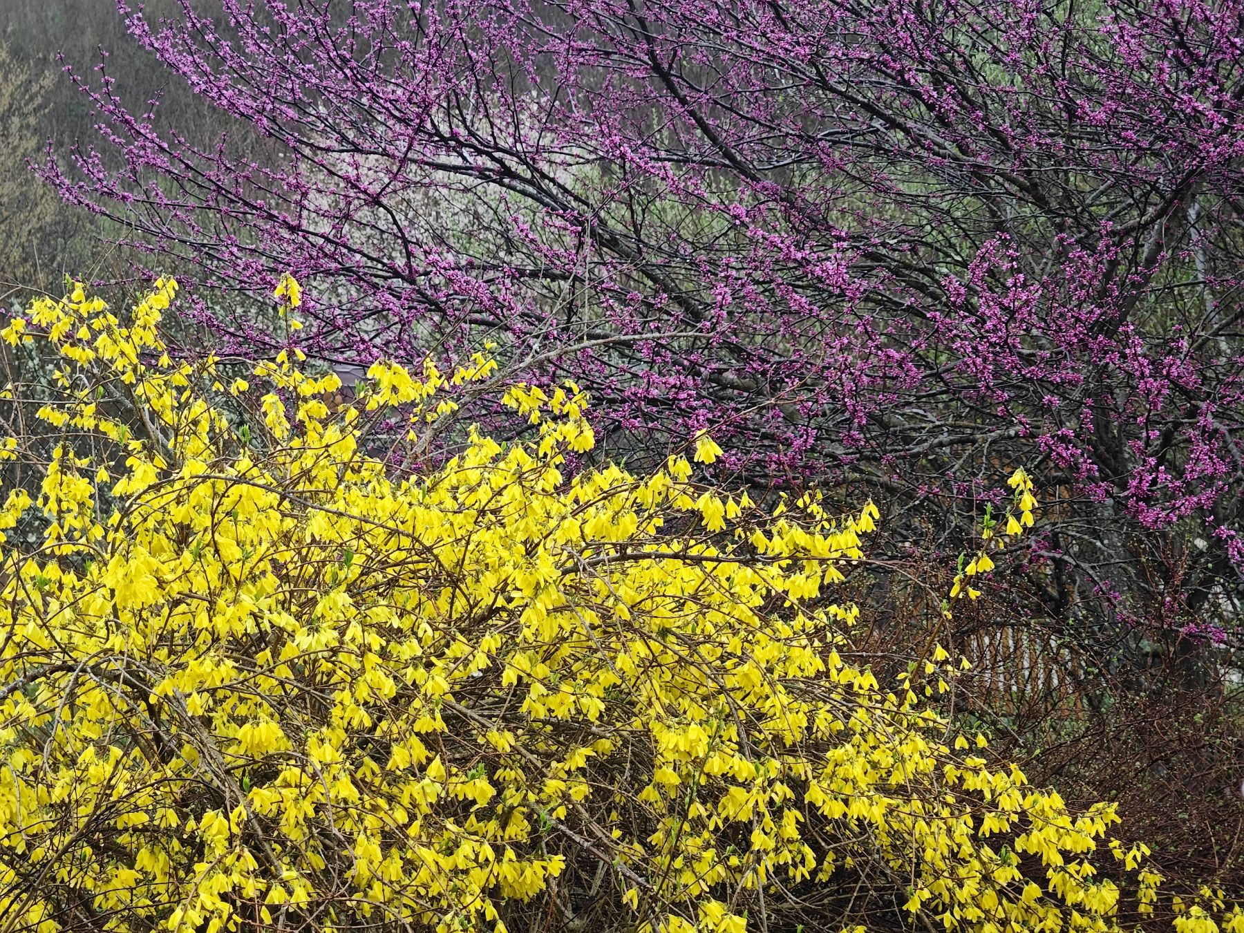 Вершины мира. Коллекция Приключений – детская программа, Краснодарский край, Геленджик. Путевки на детские программы на 2026 год, фото программы 9