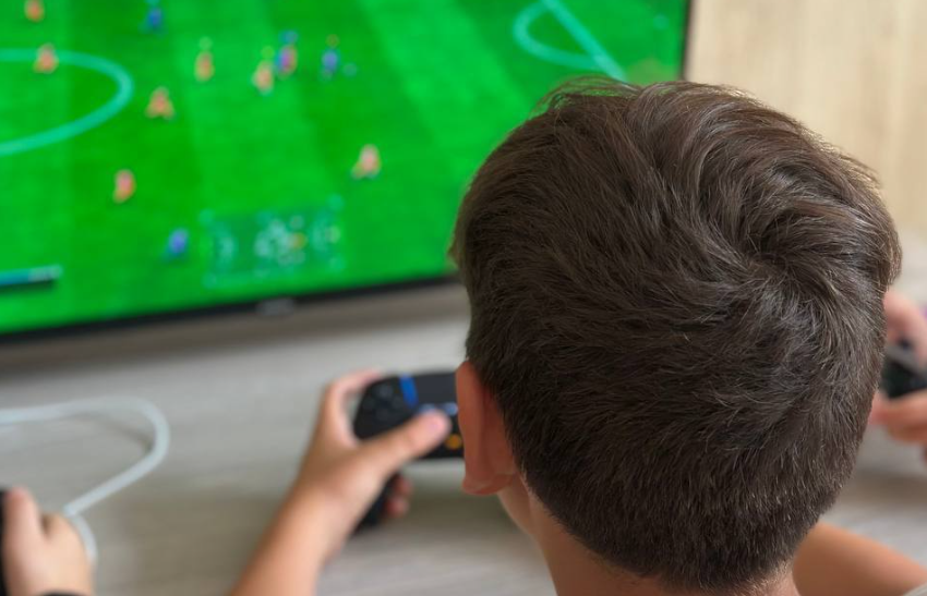 «Мир Игр. Фиджитал лагерь», Московская обл., Истринский р-н – 3.