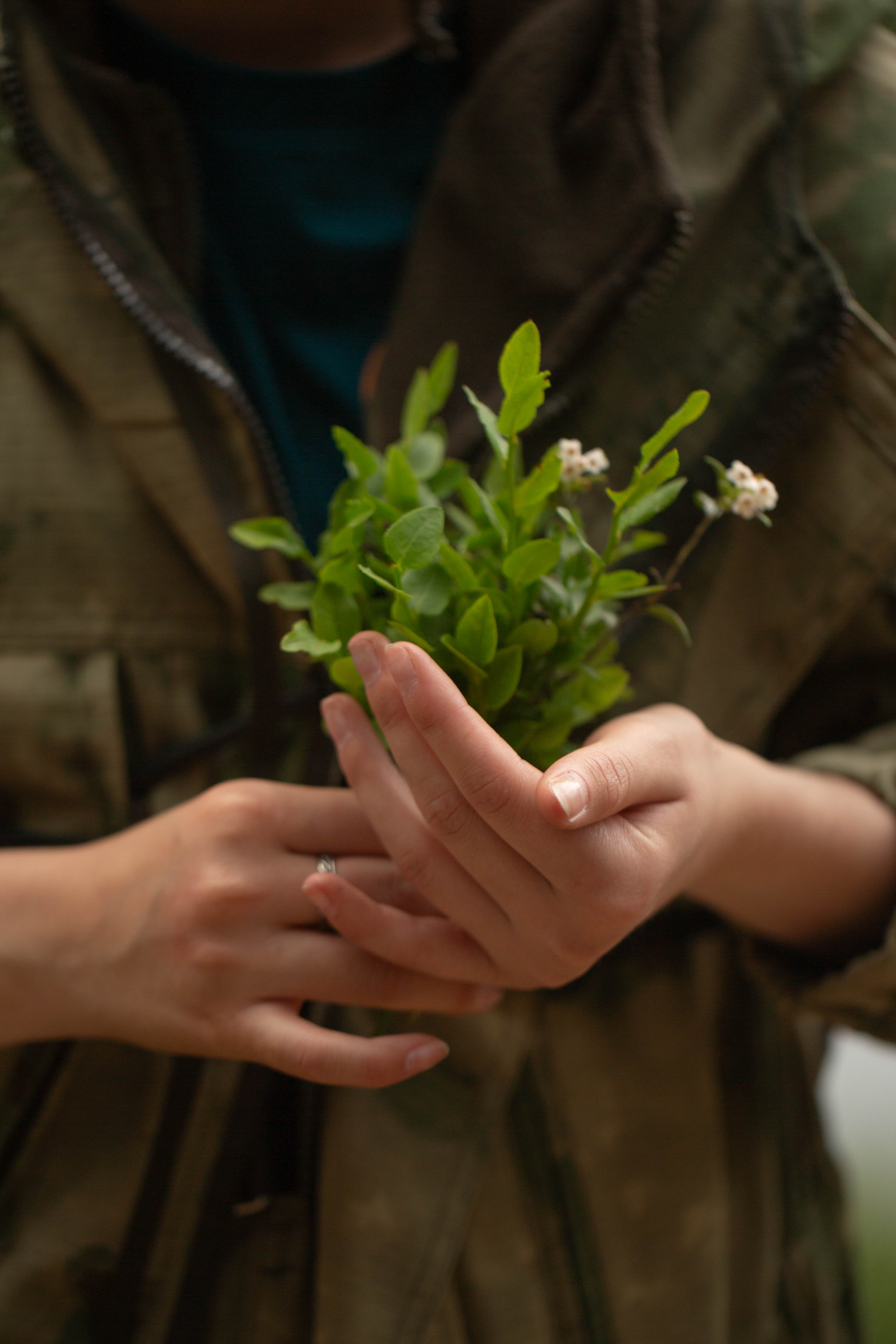 ПроКаникулы. ПроЖизнь Петроград – туристический лагерь, Ленинградская обл., Карелия, Санкт-Петербург. Путевки в детский лагерь на 2026 год, фото программы 7