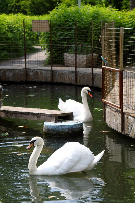 Лагерь Живая Легенда в Подмосковье, Одинцовский район – путевки на 2025 год, фото размещения 11