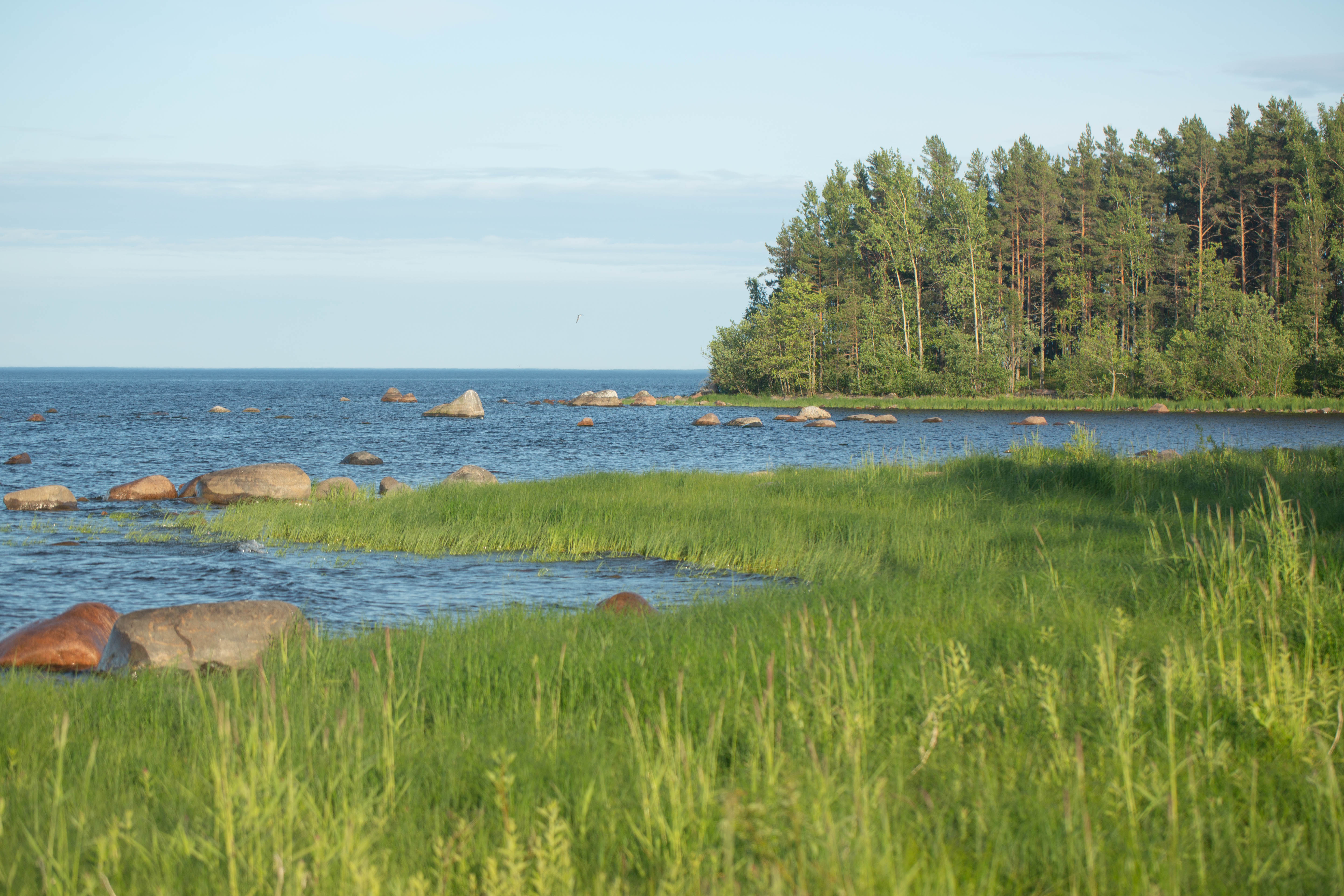 ПроКаникулы. ПроЖизнь Петроград – туристический лагерь, Ленинградская обл., Карелия, Санкт-Петербург. Путевки в детский лагерь на 2026 год, фото размещения 1
