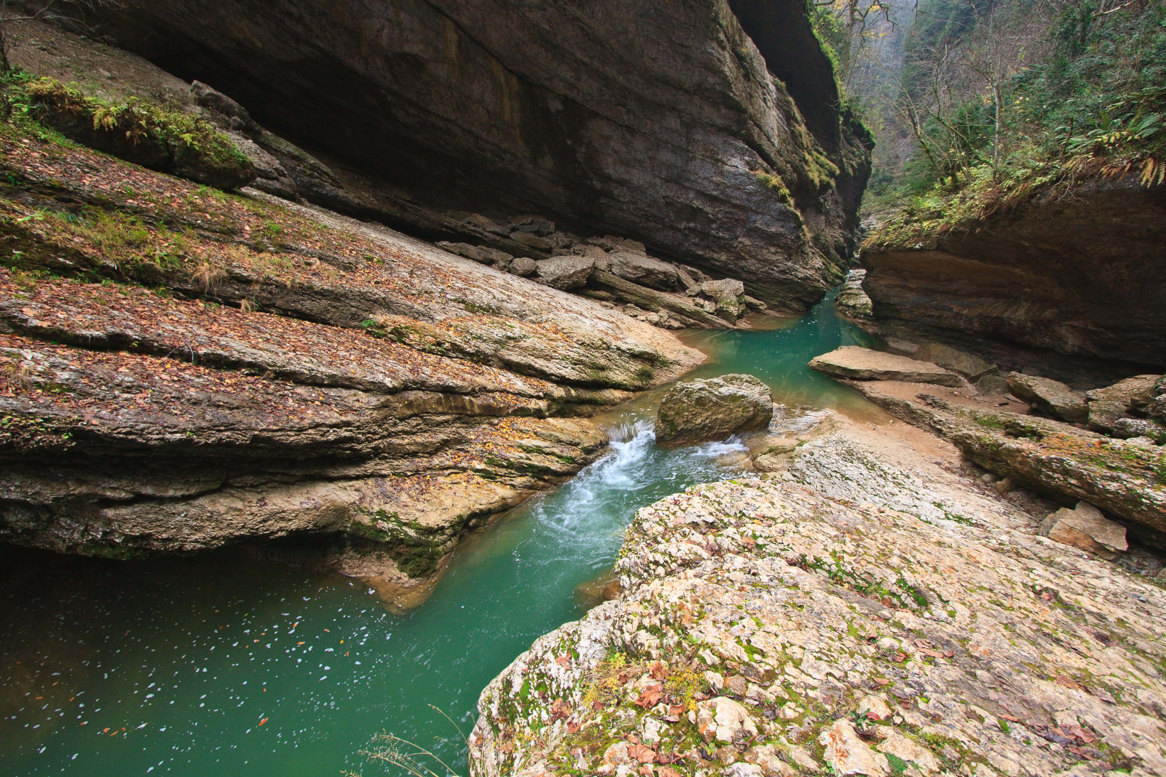 ПроКаникулы. ПроЖизнь Кавказ  – туристический лагерь, Краснодарский край, Сочи. Путевки в детский лагерь на 2026 год, фото программы 11
