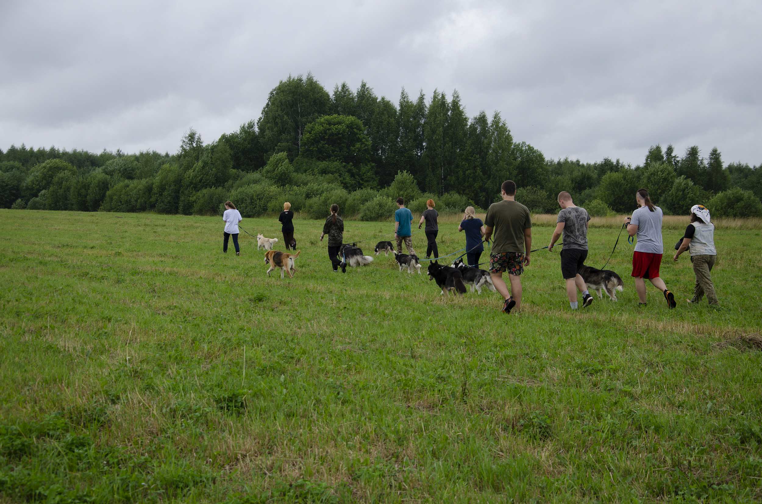 Зов Севера. Летняя стоянка. Коллекция Приключений – туристический лагерь, Костромская обл., Судиславский р-н. Путевки в детский лагерь на 2026 год, фото программы 7
