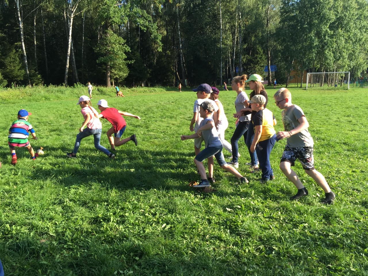 Ромашка, Подольск – оздоровительный лагерь, Подольск. Путевки в детский лагерь на 2023-2024 год, фото 1