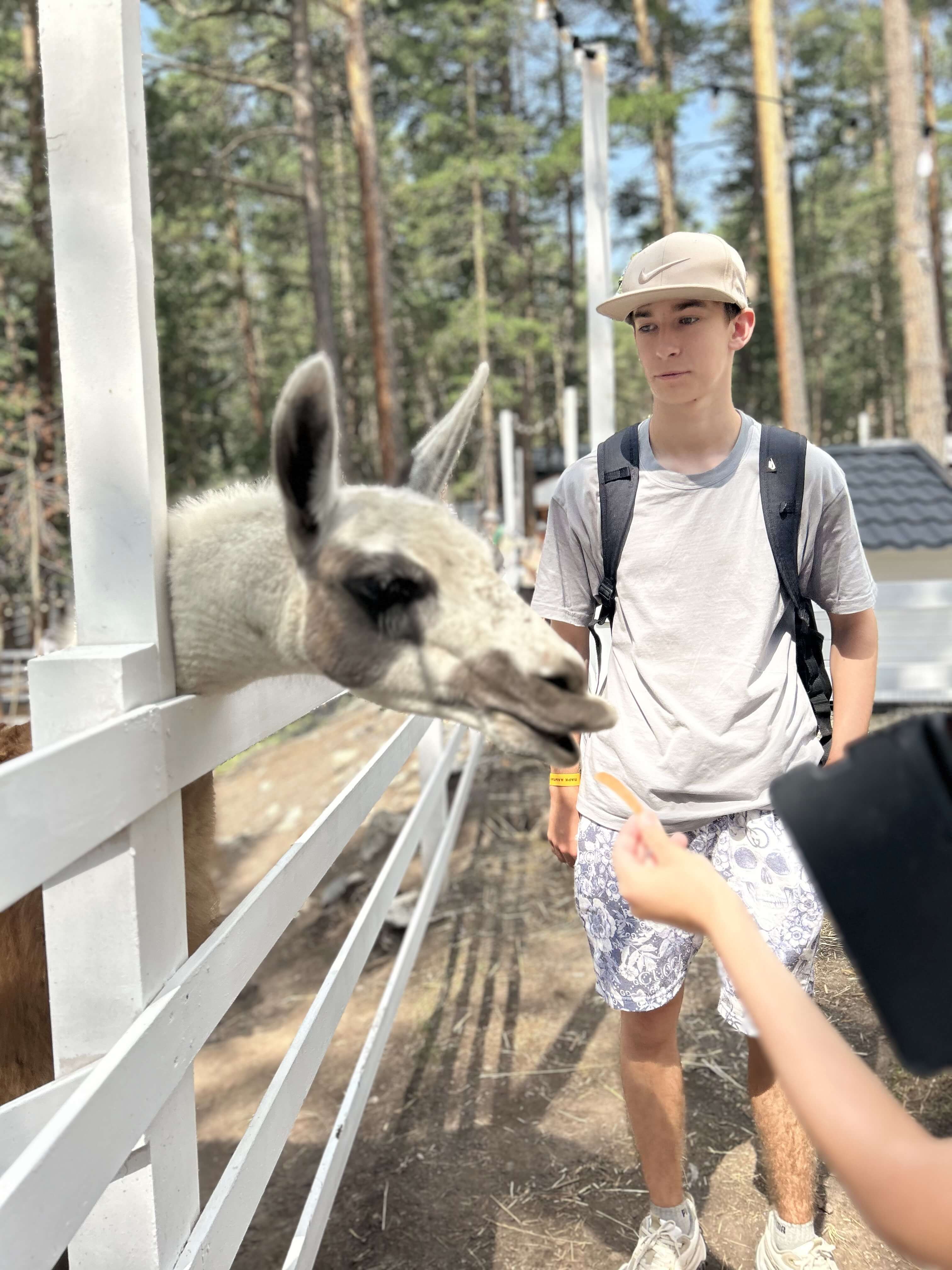 Sport Story в Приэльбрусье – детская программа, Кабардино-Балкария, Эльбрусский р-н. Путевки на детские программы на 2026 год, фото 8