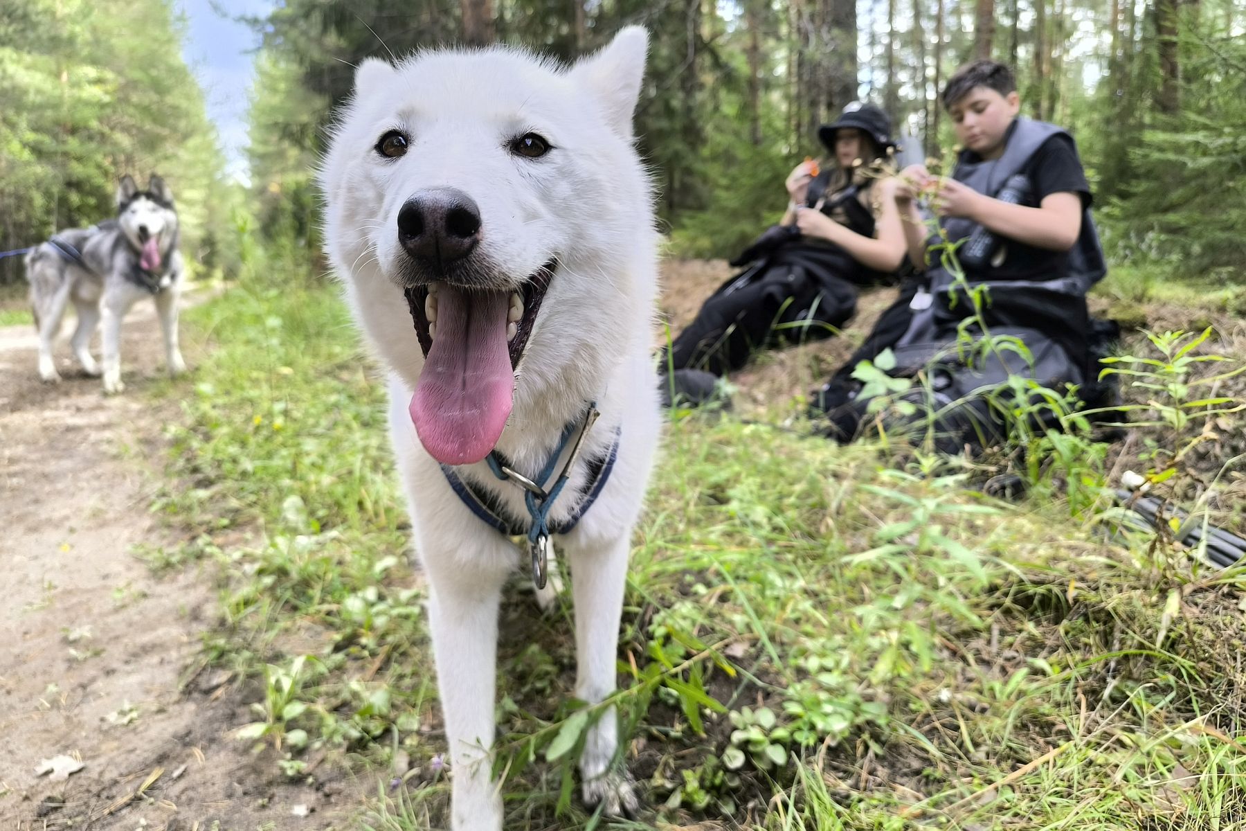 «Зов Севера. Коллекция Приключений», Костромская обл., Нейский р-н – 1.