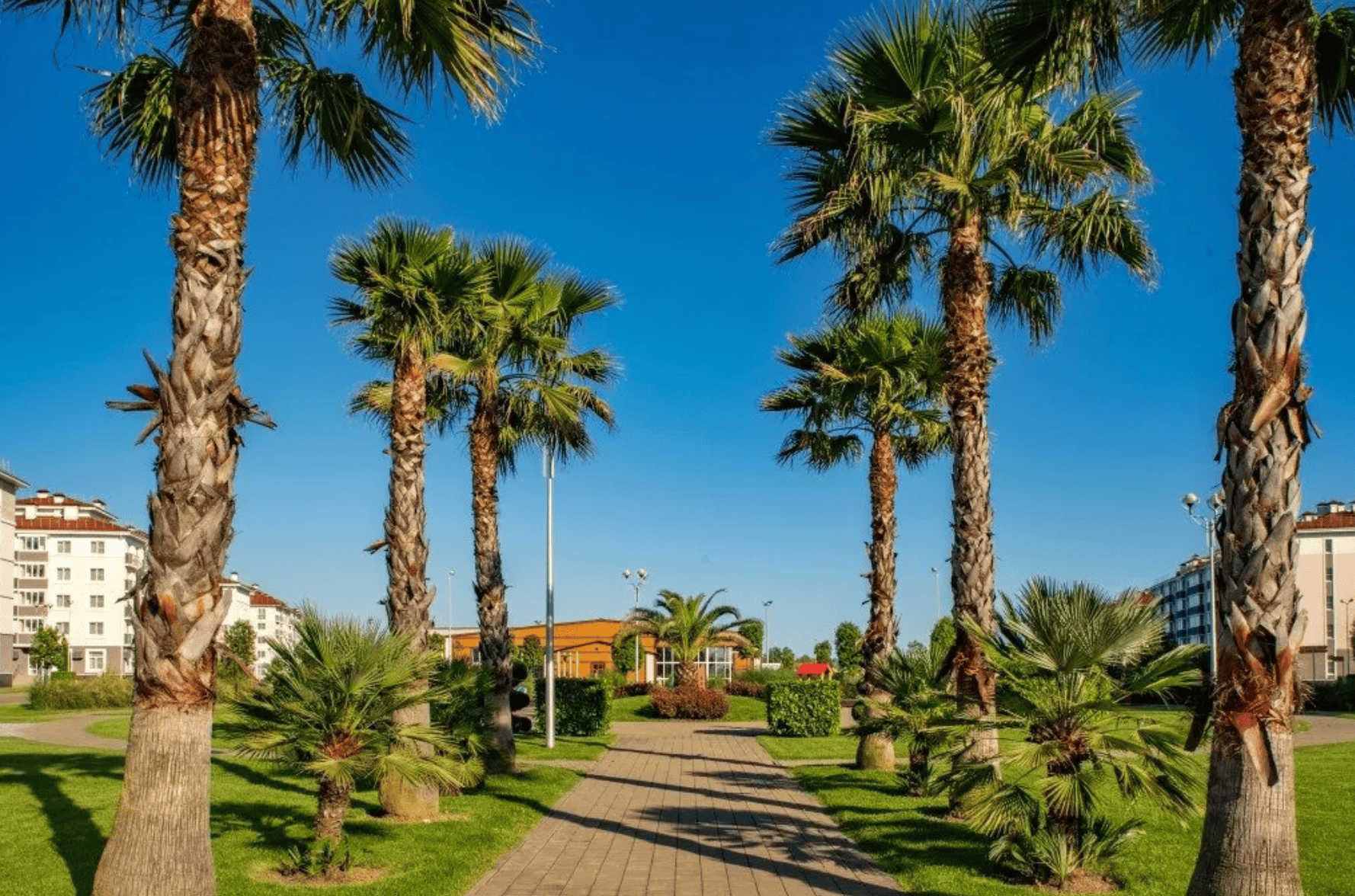 Азбука Футбола Сочи – спортивный лагерь, Краснодарский край, Сириус. Путевки в детский лагерь на 2026 год, фото размещения 6