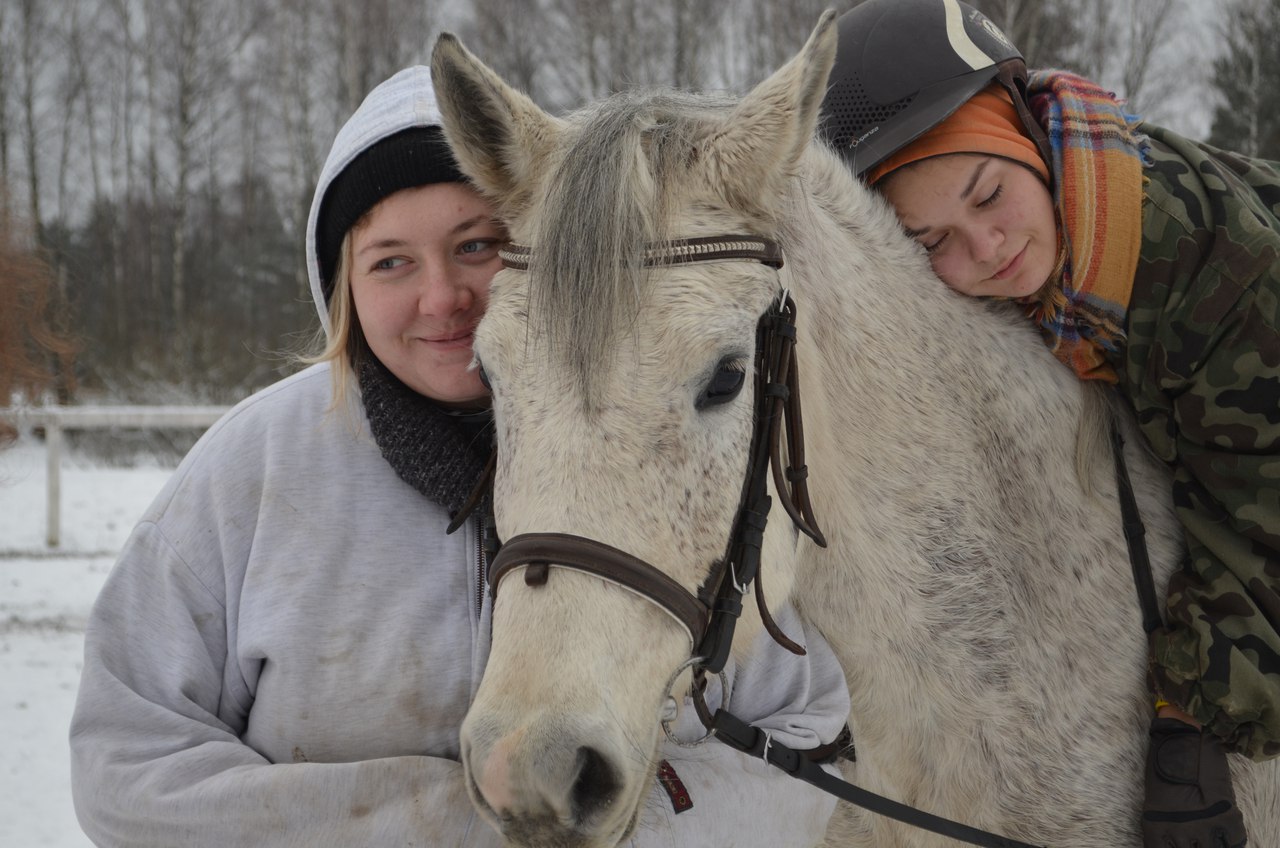 «Horse Paradise (зимний)» – Детский лагерь во Владимирской области, фото 5