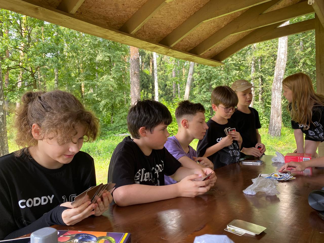 CODDY CAMP - программирование и дизайн – IT и математический лагерь, Калужская обл.. Путевки в детский лагерь на 2026 год, фото программы 3