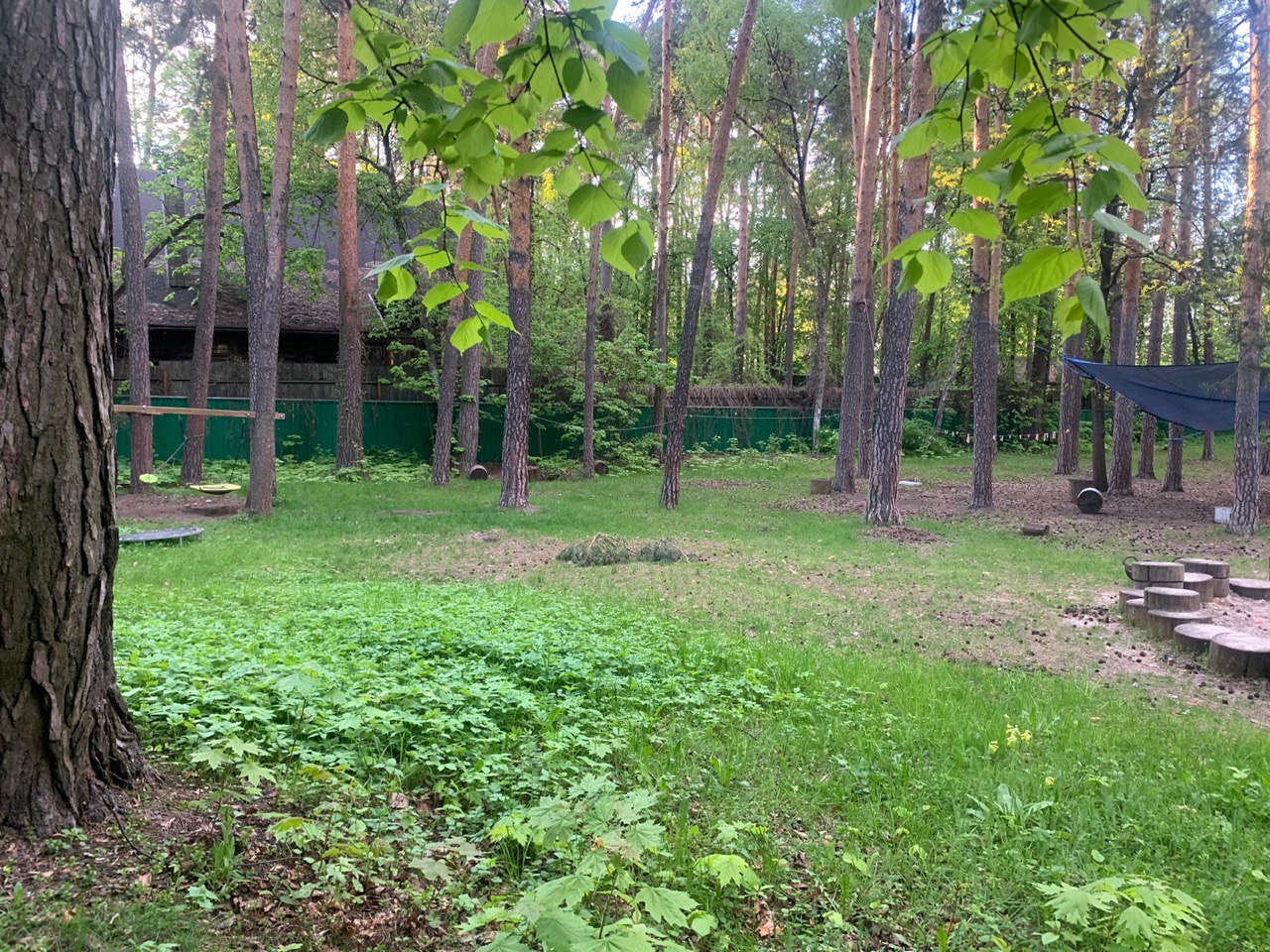 Baby Bilingual – детская программа, Москва, 3 локации. Путевки на детские программы на 2026 год, фото размещения 6