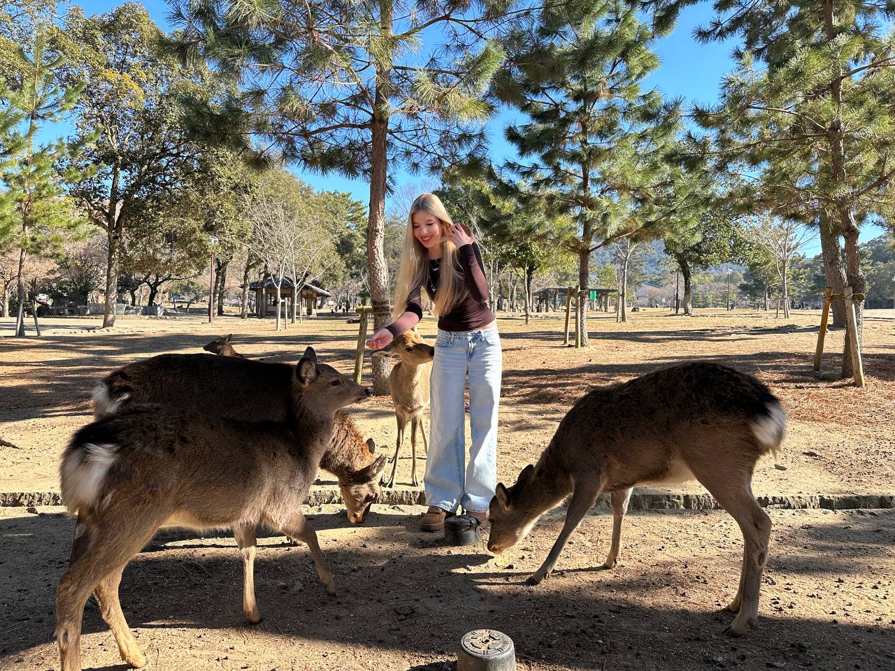 Удивительная Япония – детская программа, Япония, Токио. Путевки на детские программы на 2026 год, фото 12