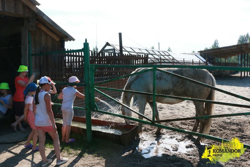 «Лагерь Командор» – Детский конный лагерь в Калужской области, фото программы 4
