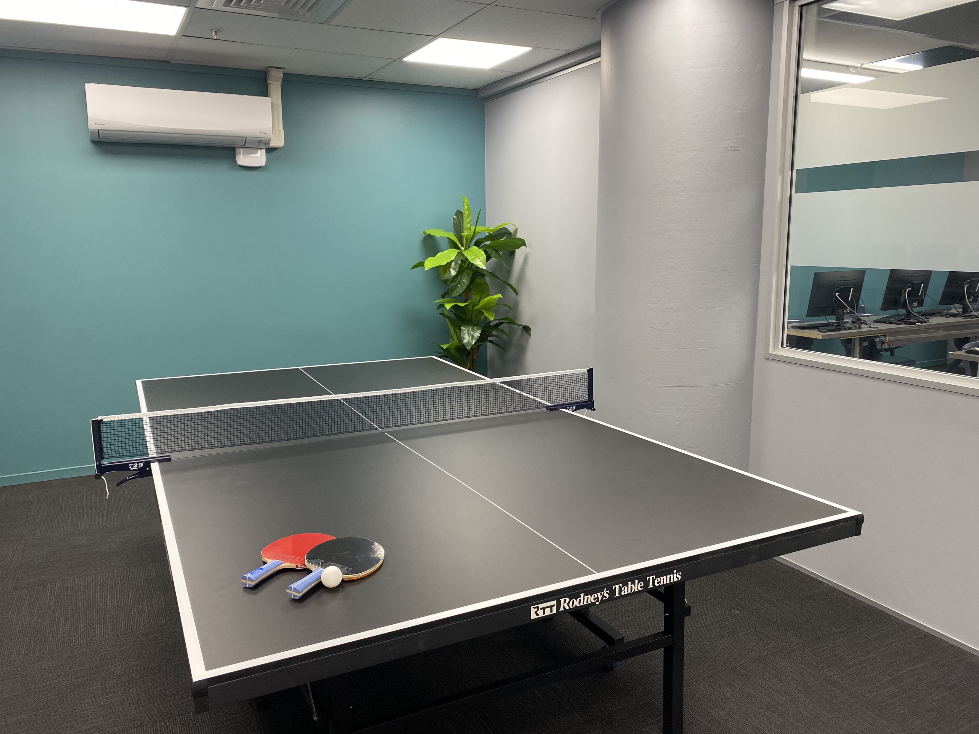 Английский в Новой Зеландии – языковой лагерь, Новая Зеландия, Окленд. Путевки в детский лагерь на 2025-2026 год, фото 13