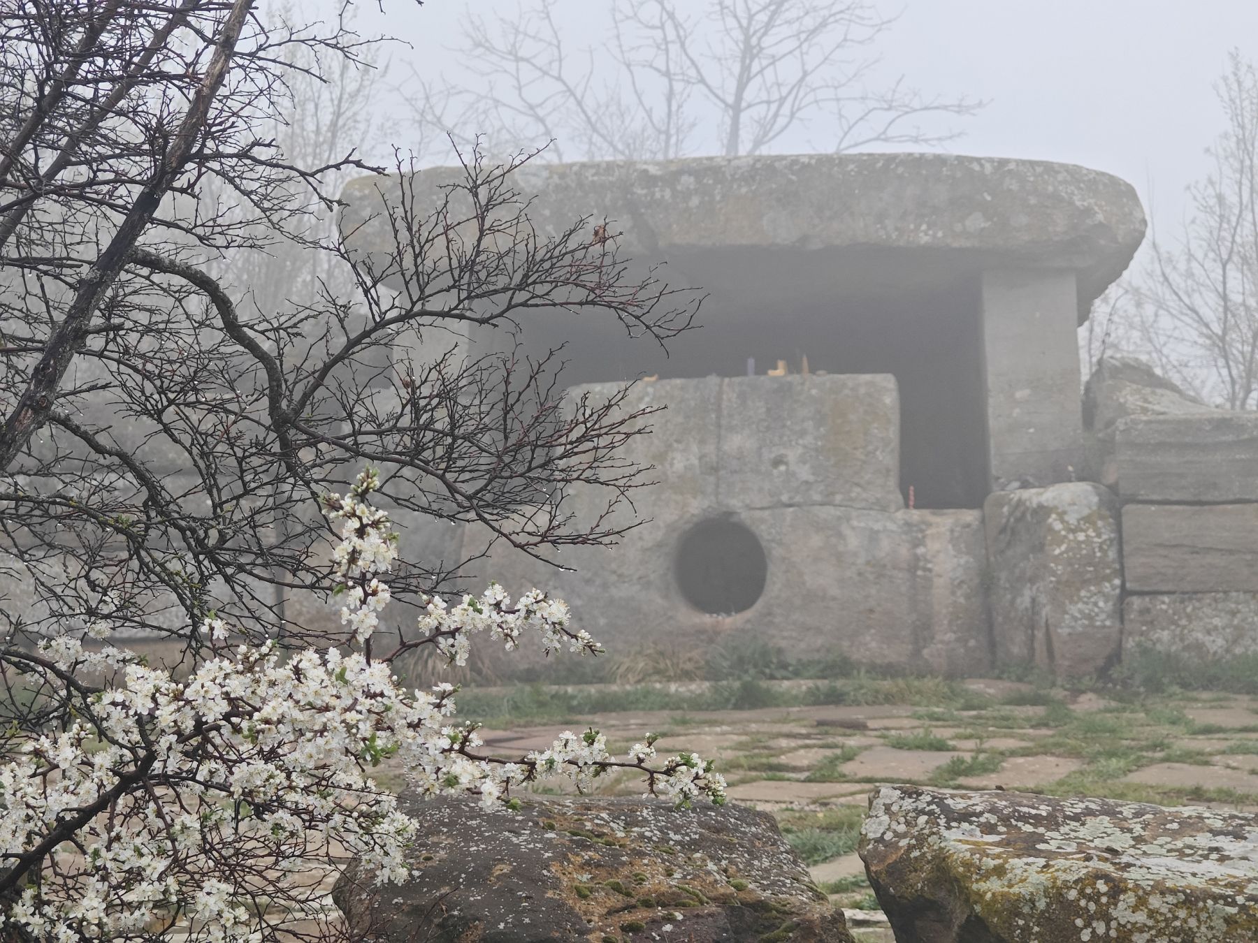 Вершины мира. Коллекция Приключений – детская программа, Краснодарский край, Геленджик. Путевки на детские программы на 2026 год, фото программы 5