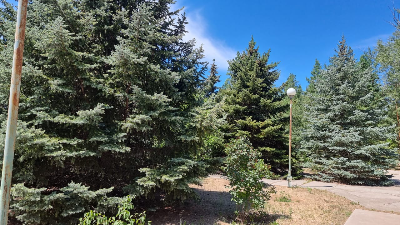 Лингвистическая программа Путешествие в Сафари – детская программа, Волгоградская обл., Среднеахтубинский р-н. Путевки на детские программы на 2026 год, фото размещения 5