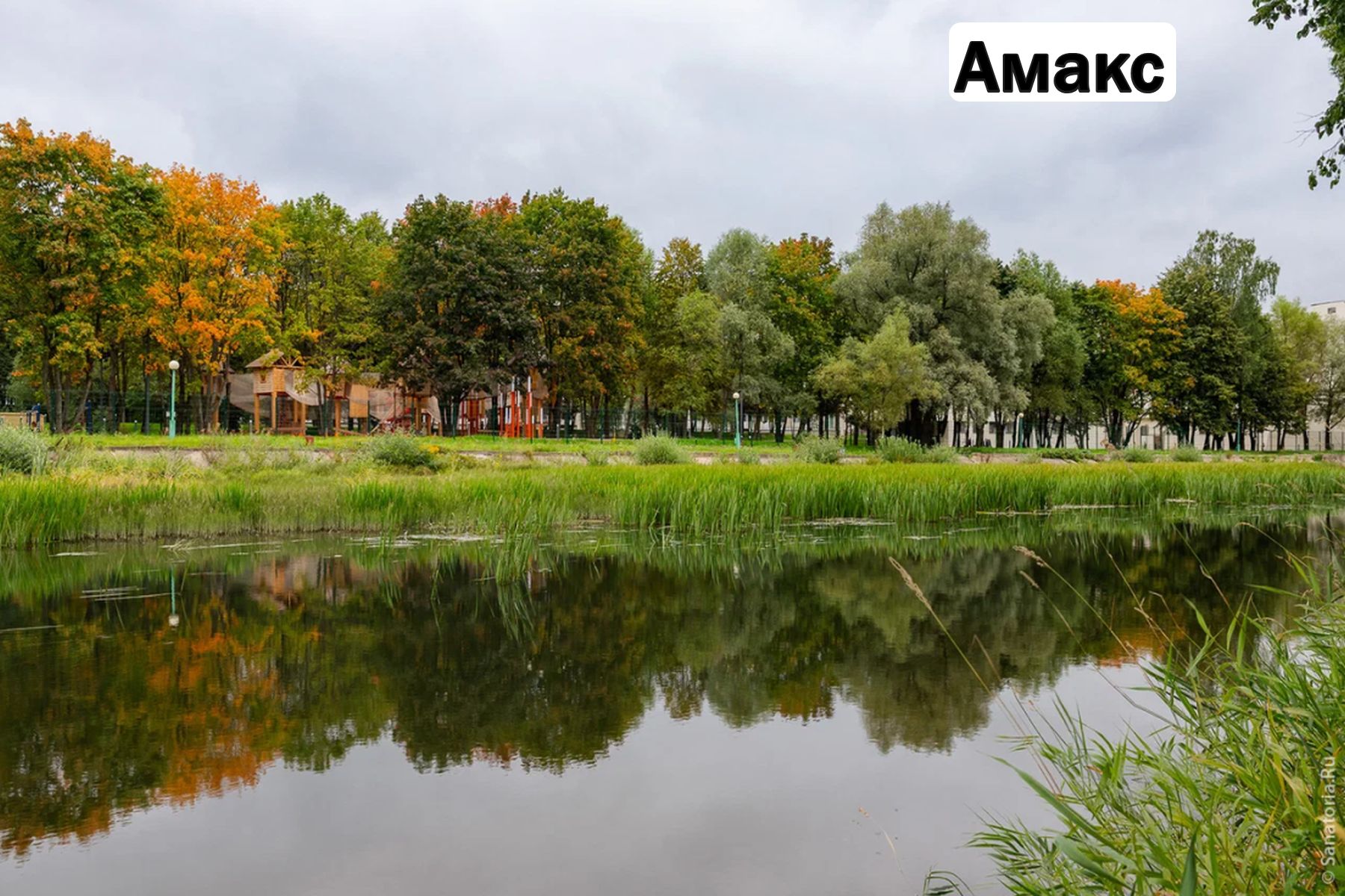 Oxford Camp. Классика. Эдем и Новая Истра – детская программа, Московская обл., 2 локации. Путевки на детские программы на 2026 год, фото размещения 12