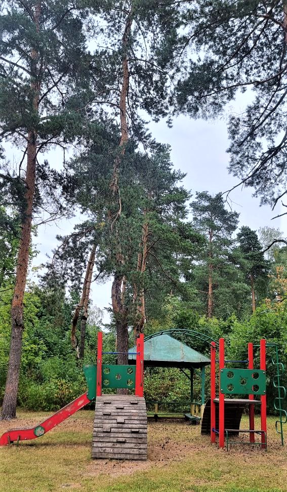 КИД Travel. Soft Skills Camp – творческий лагерь, Московская обл., Люберецкий р-н. Путевки в детский лагерь на 2026 год, фото размещения 14