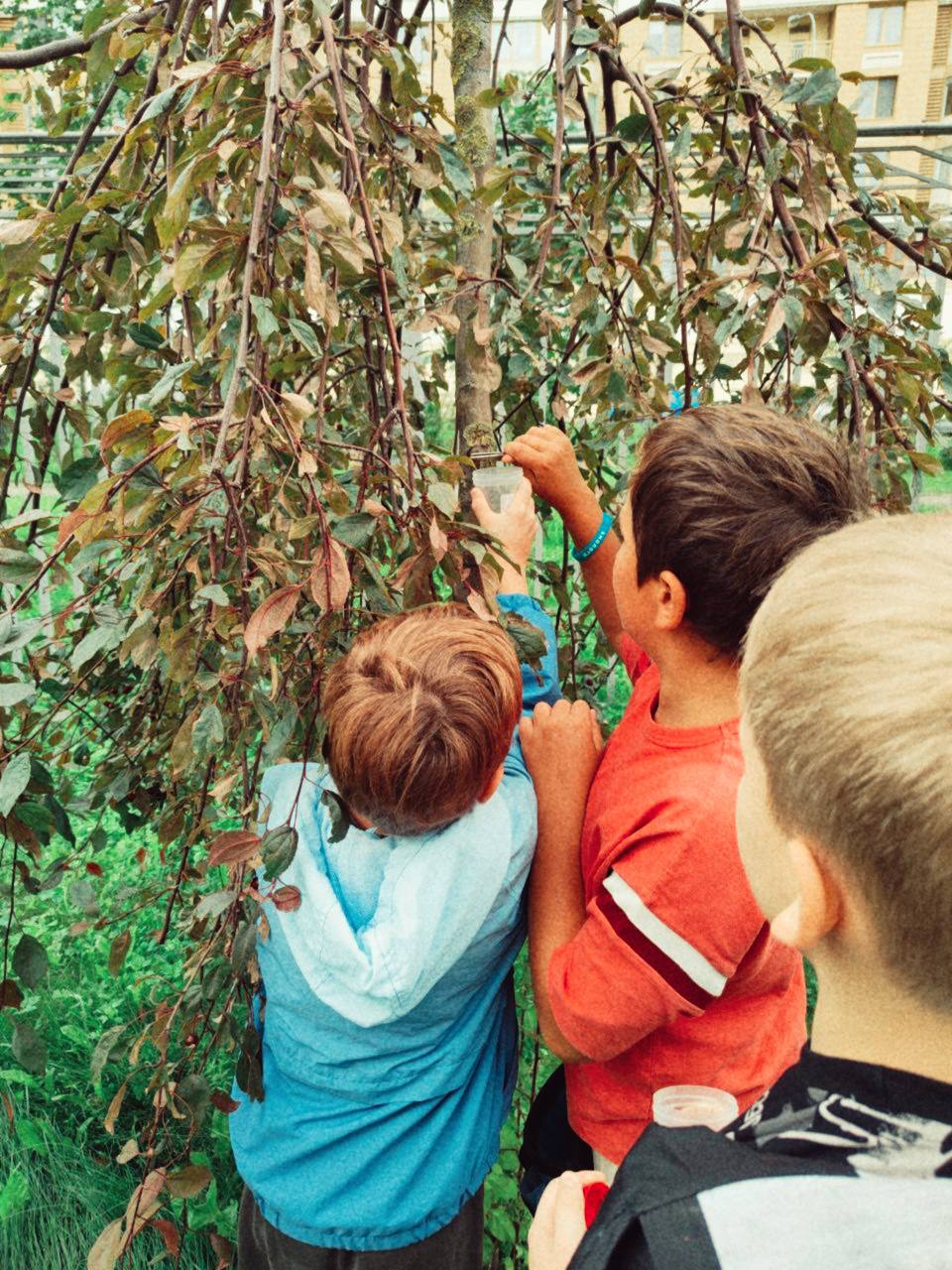 Sciencely. Летние городские лаборатории. Мичуринский – детская программа, Москва, м. Мичуринский проспект. Путевки на детские программы на 2026 год, фото 9