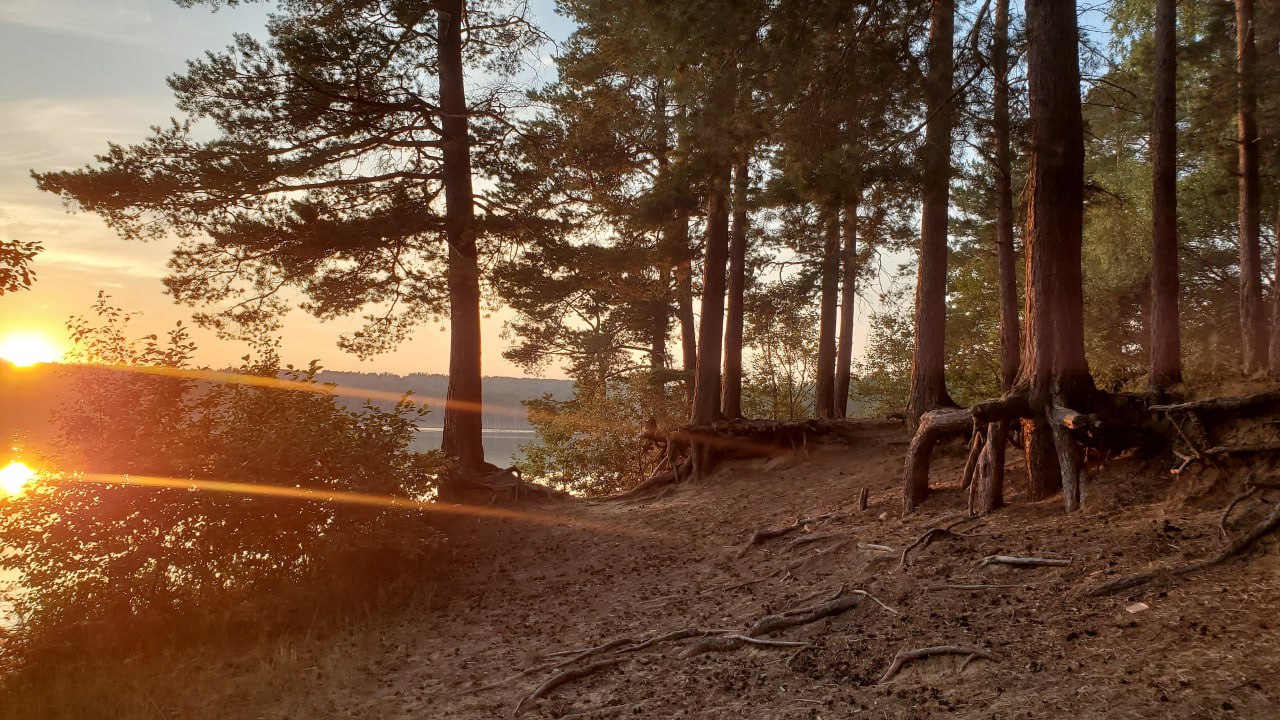 12К. Психологический лагерь – творческий лагерь, Ленинградская обл., Всеволожский р-н. Путевки в детский лагерь на 2026 год, фото размещения 7